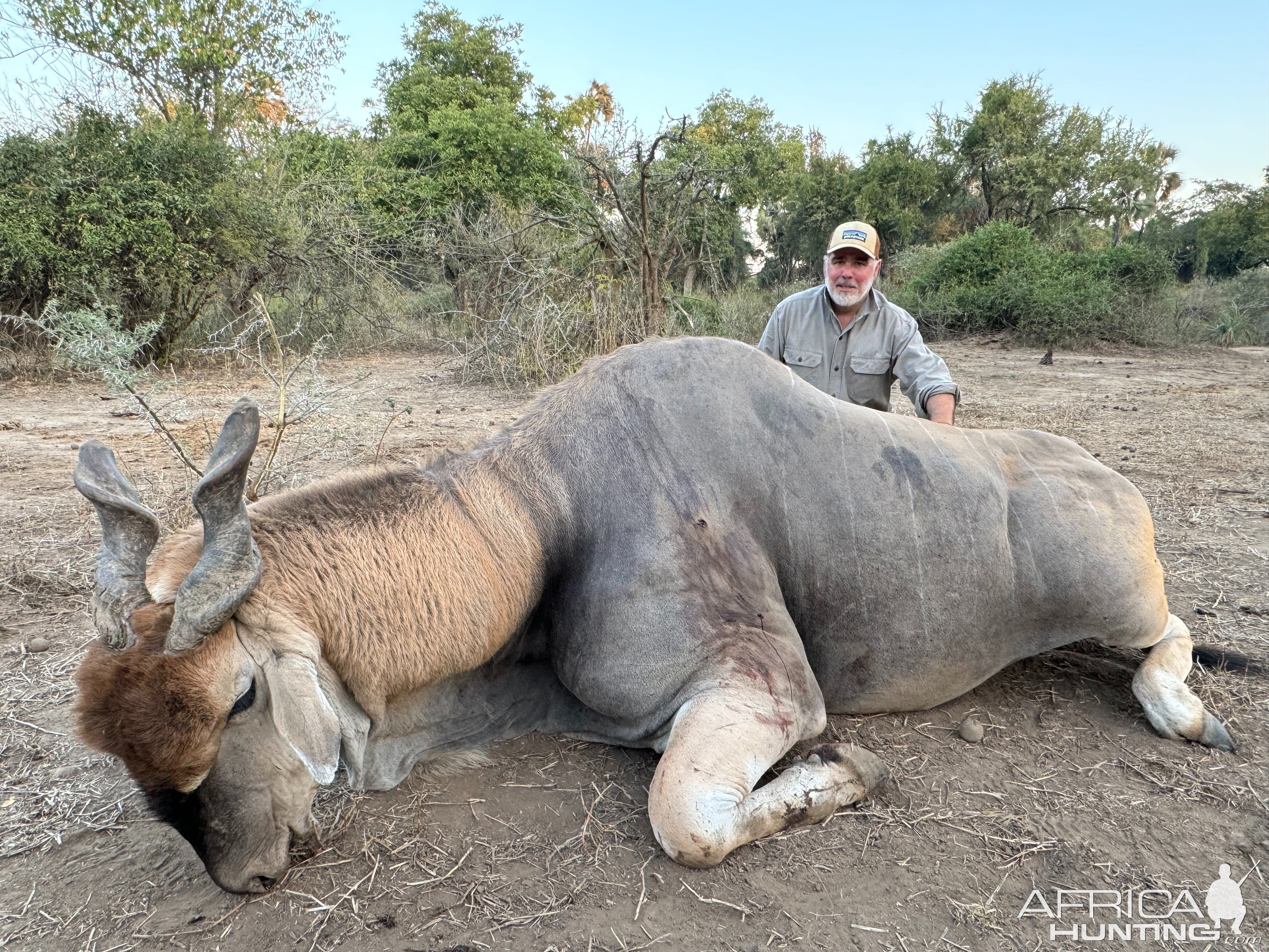 Eland Hunt Zimbabwe