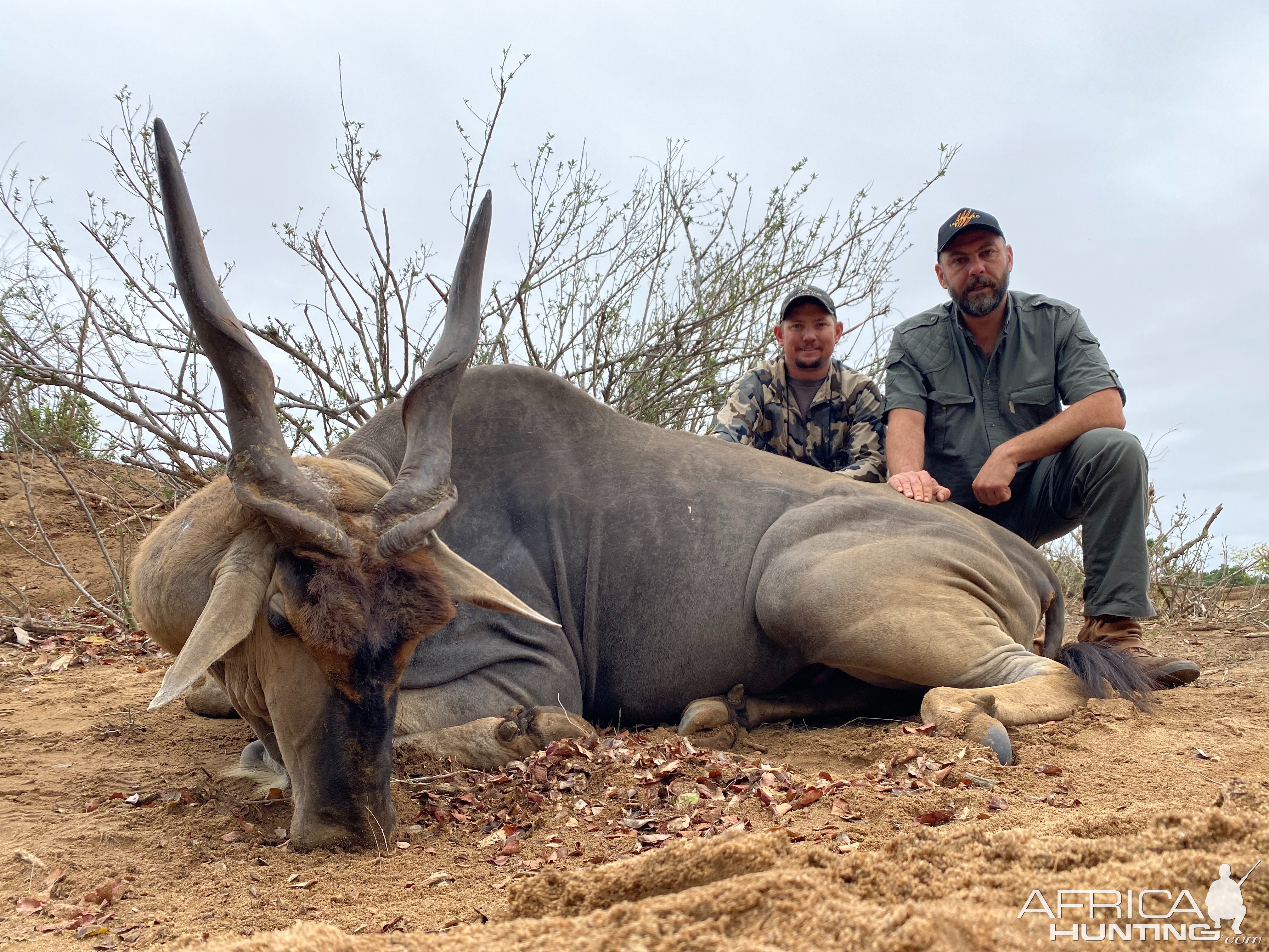 Eland Hunt Zimbabwe