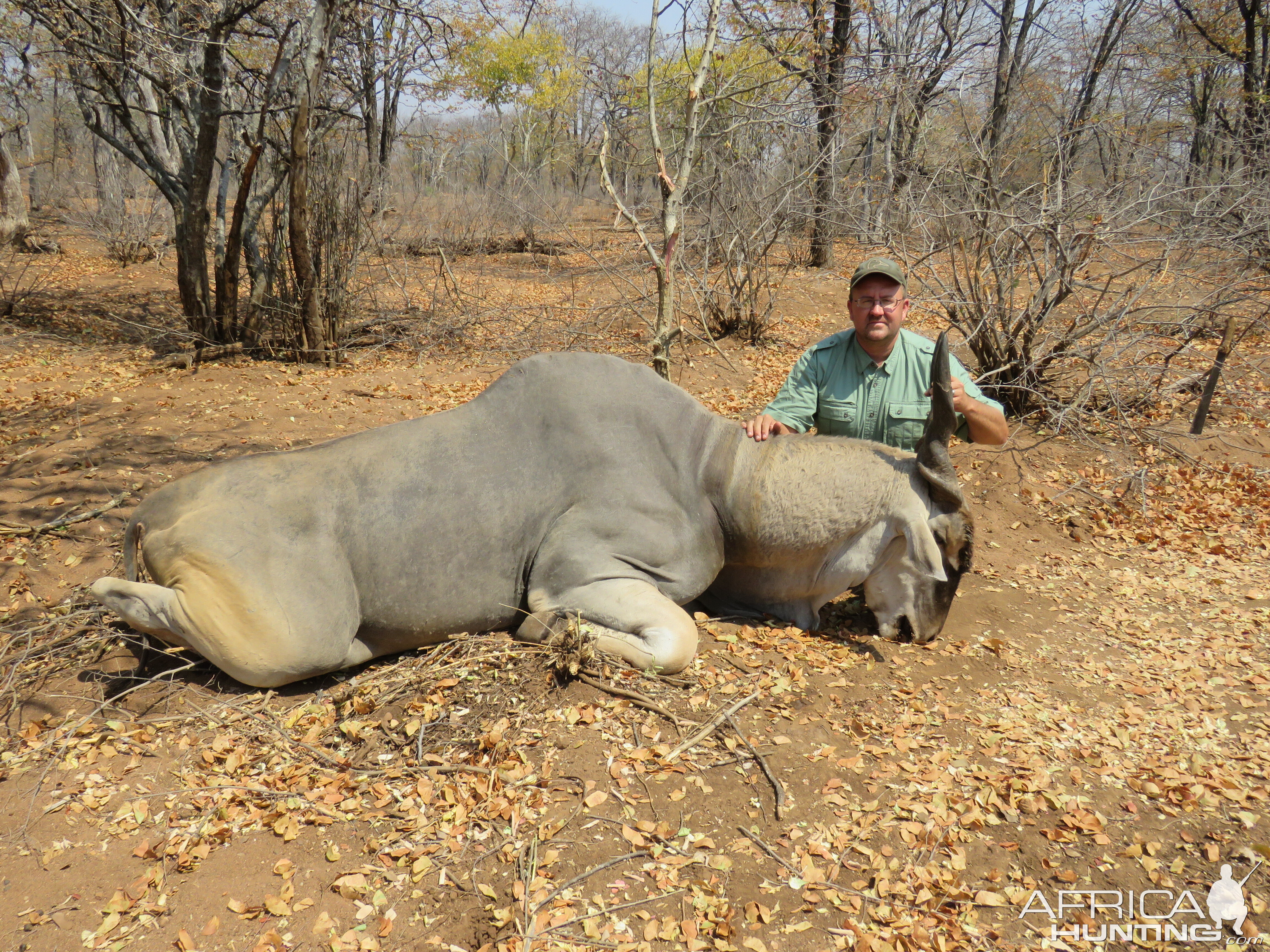 Eland Hunt