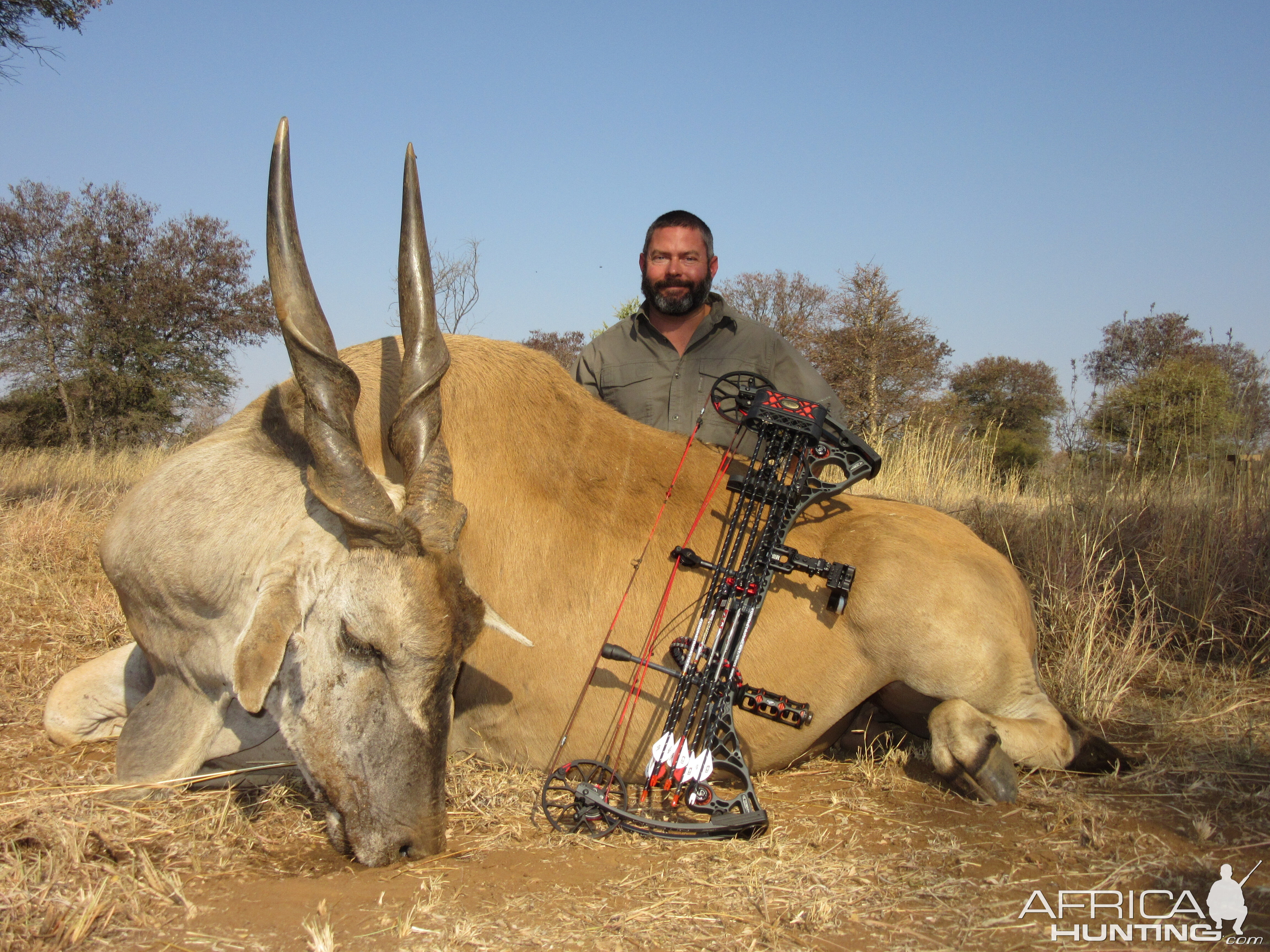 Eland hunted at Limcroma Safaris