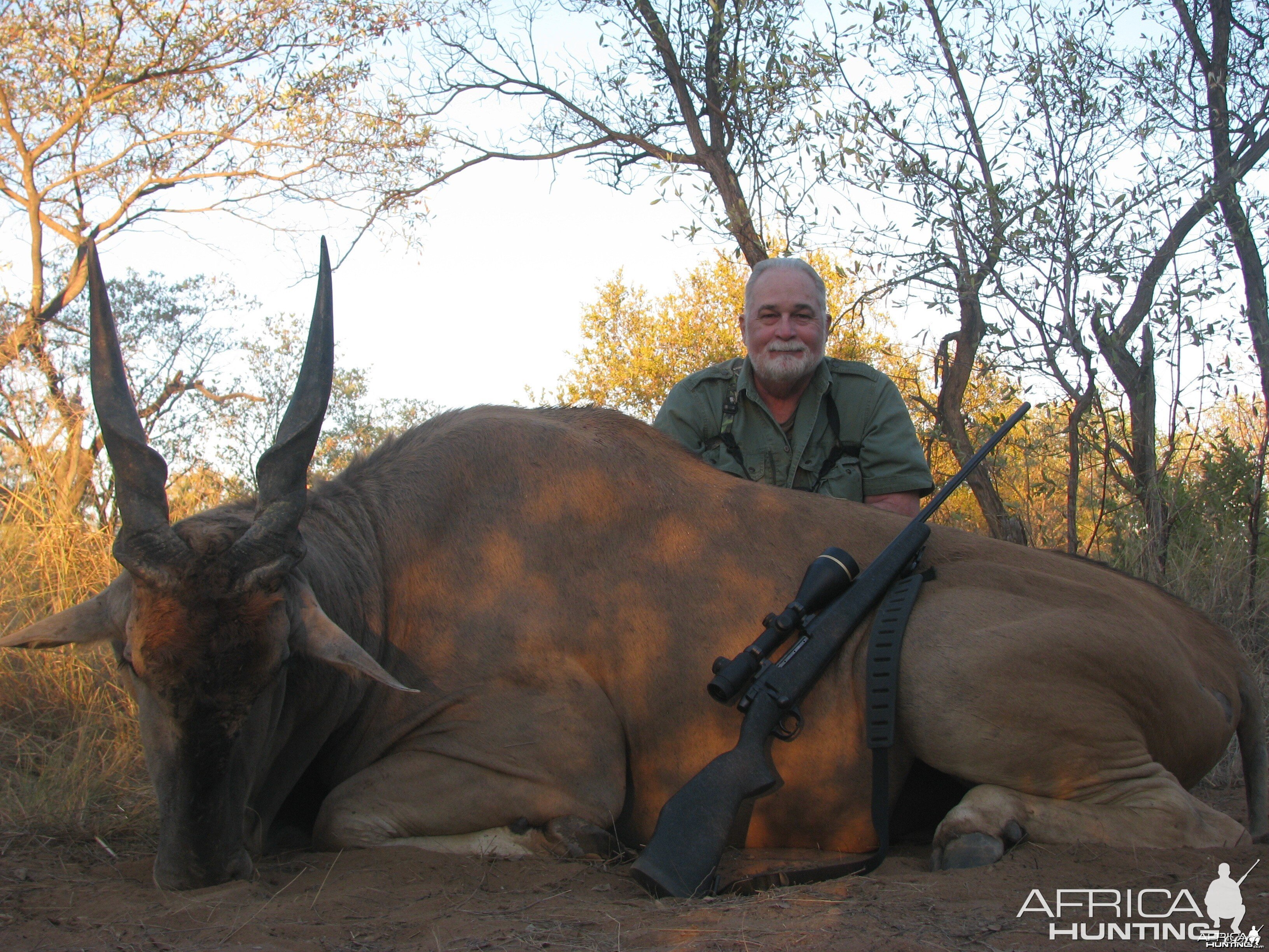 Eland Hunted w/ Motshwere Safaris