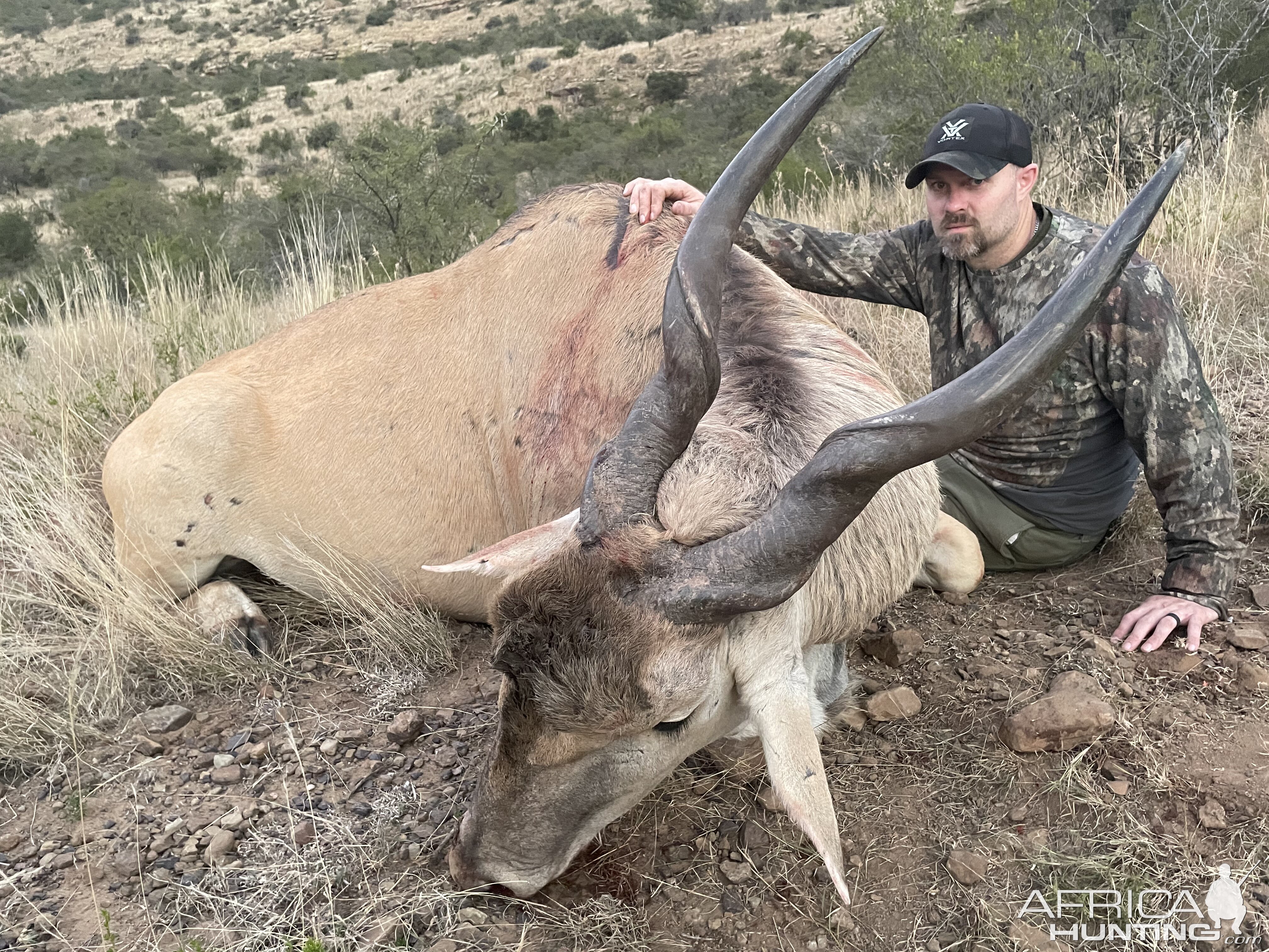 Eland Hunting Eastern Cape South Africa