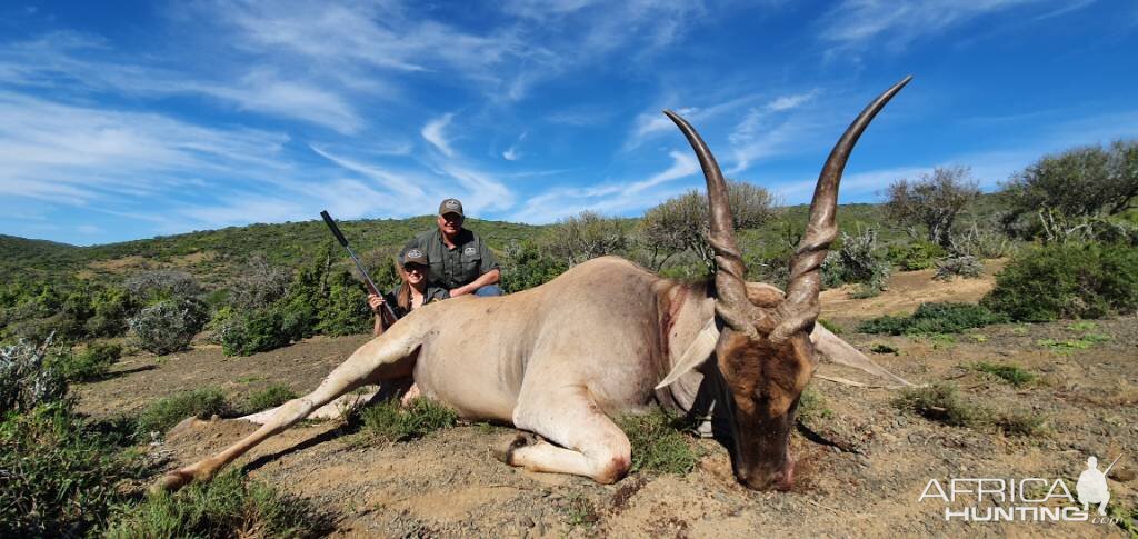 Eland Hunting Eastern Cape South Africa