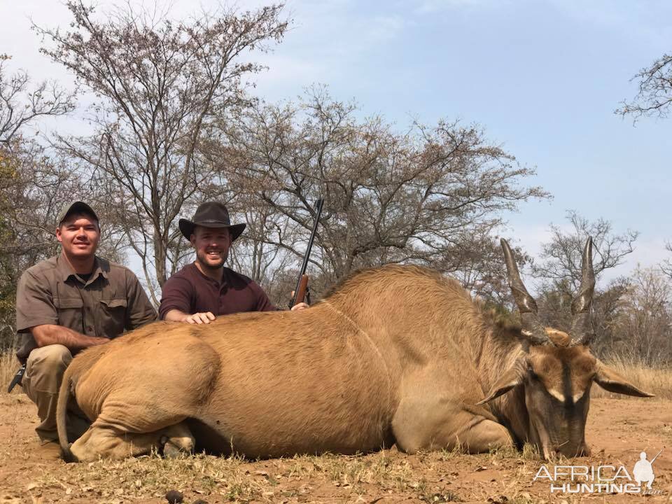 Eland Hunting in South Africa