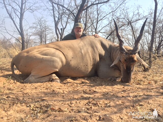 Eland Hunting in South Africa