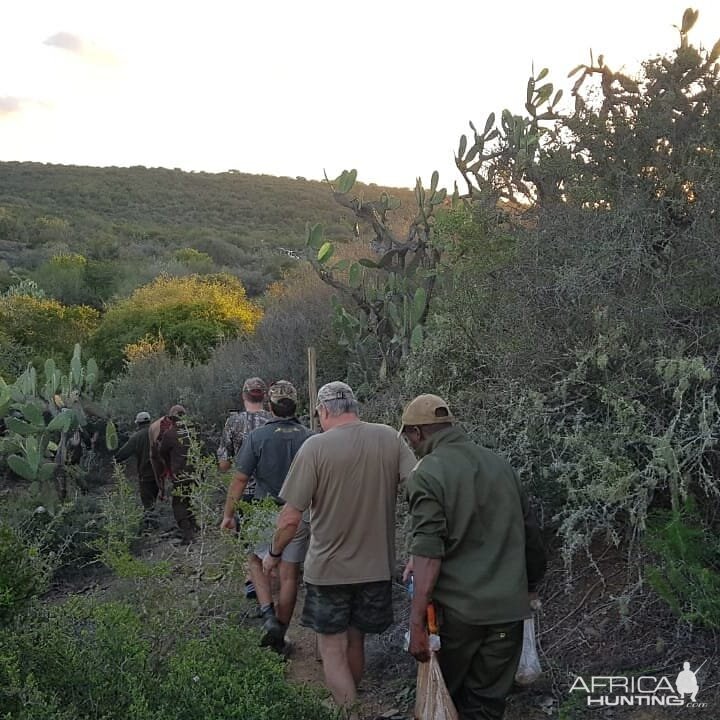 Eland Hunting in South Africa