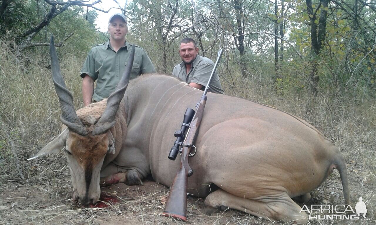 Eland Hunting in Zimbabwe