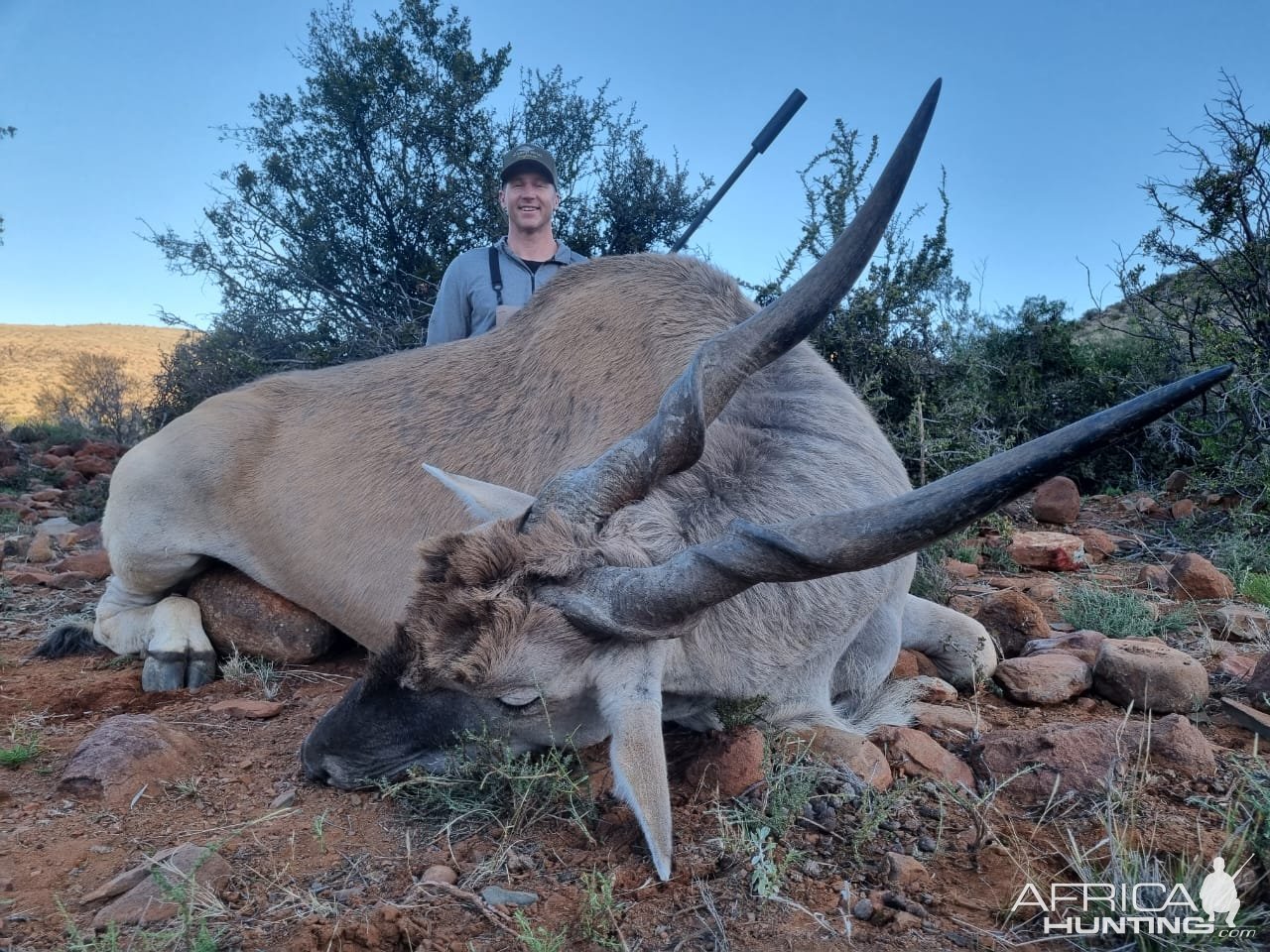 Eland Hunting Karoo South Africa