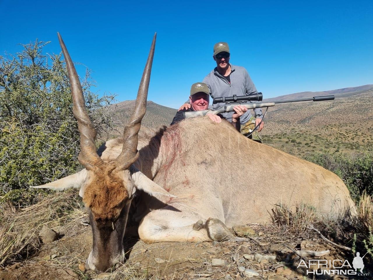 Eland Hunting Karoo South Africa