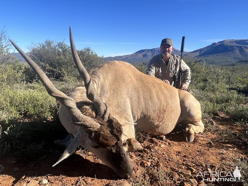 Eland Hunting Karoo South Africa