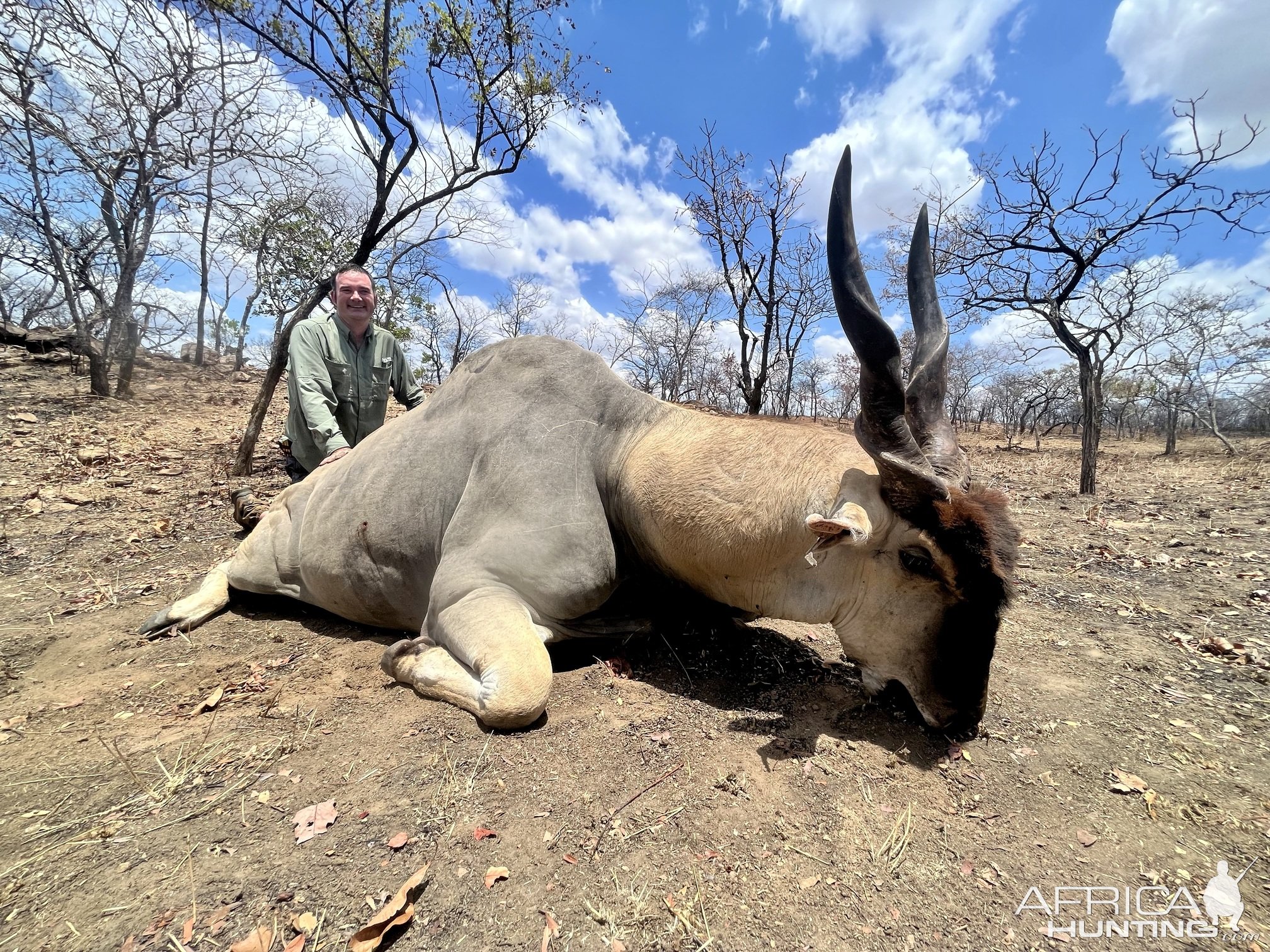 Eland Hunting Mozambique