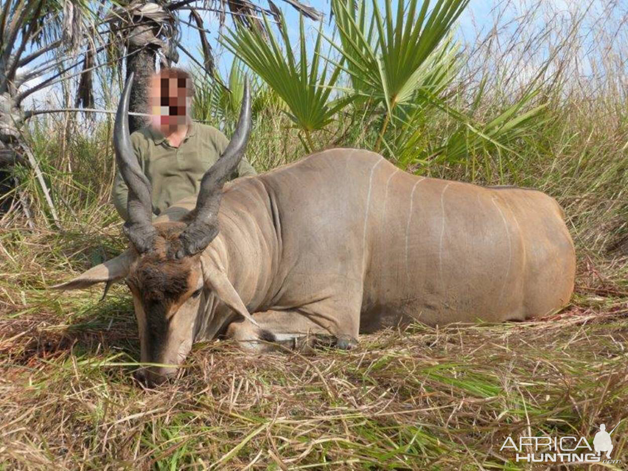 Eland Hunting Mozambique