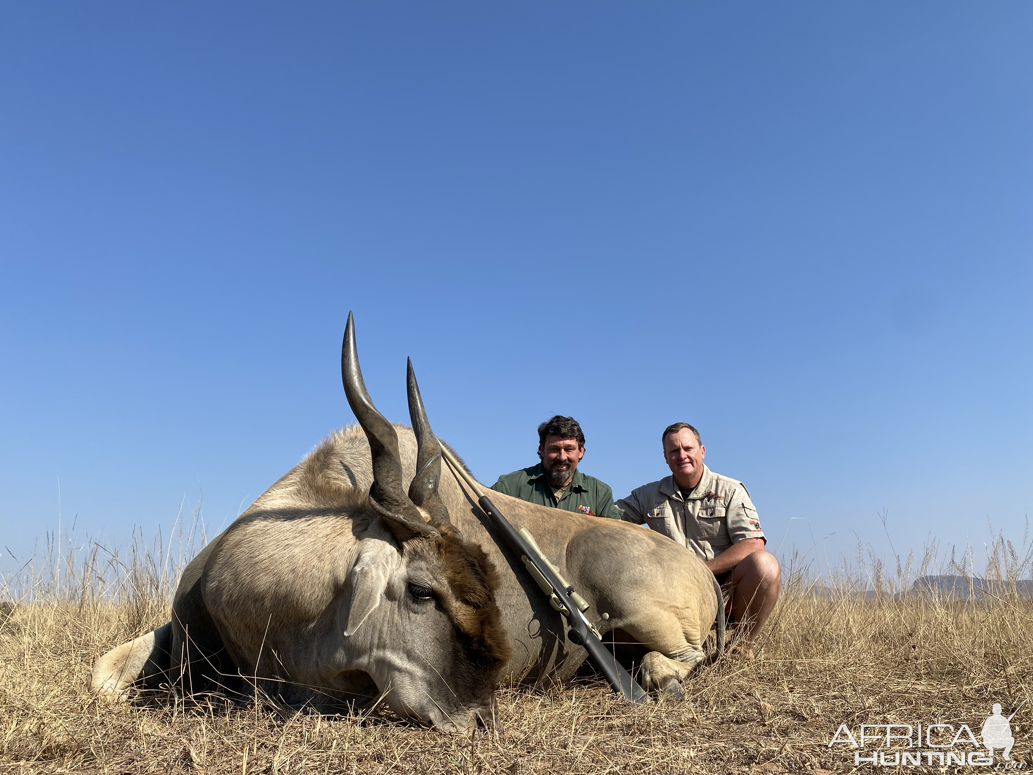 Eland Hunting Namibia