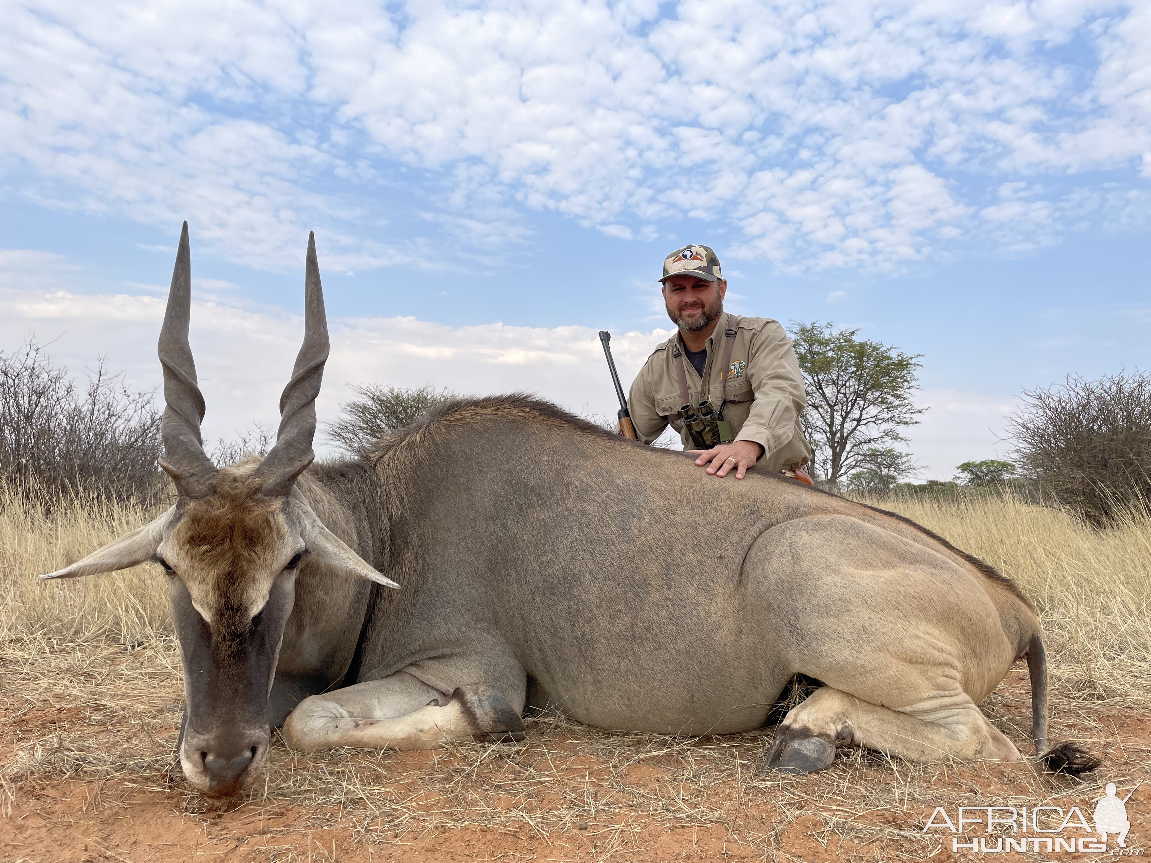 Eland Hunting Namibia