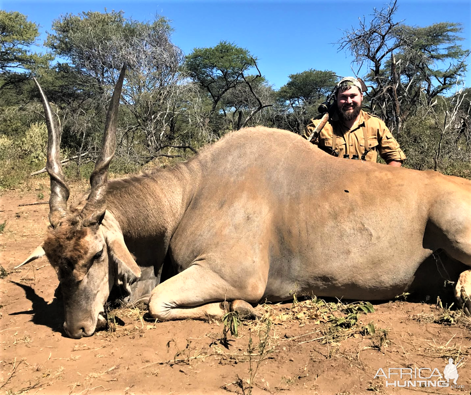 Eland Hunting Namibia