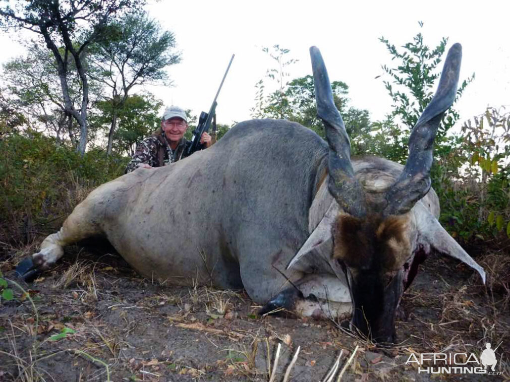 Eland Hunting Namibia