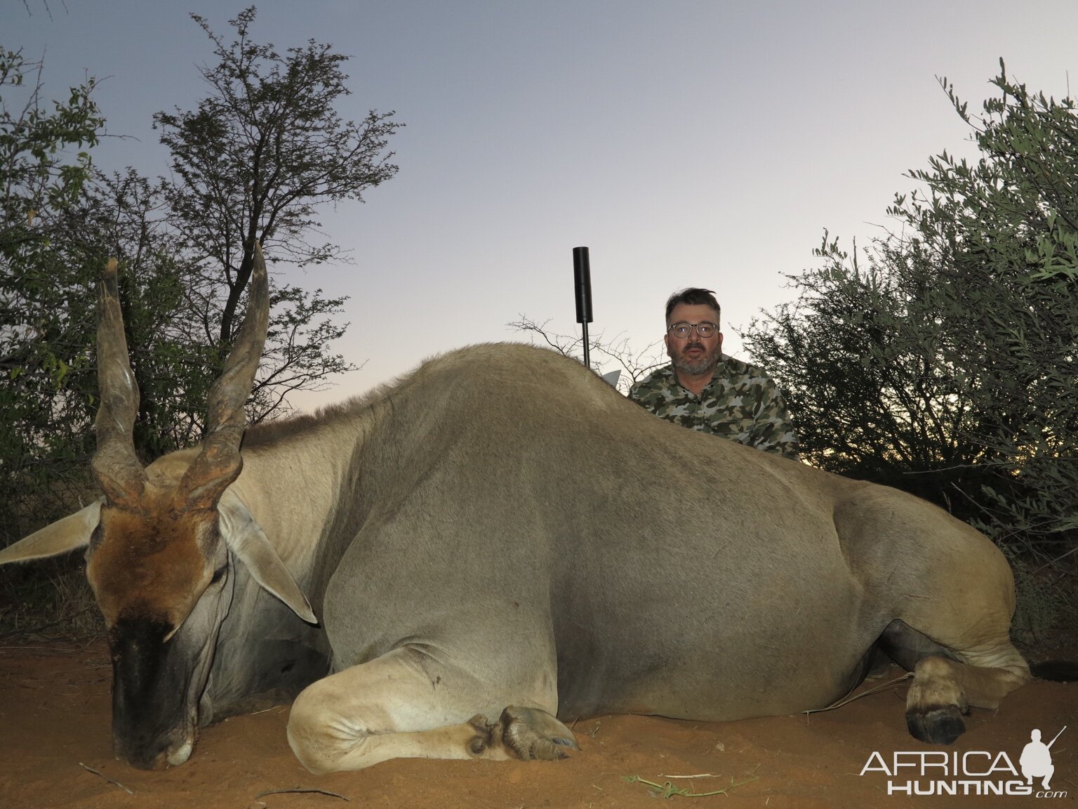 Eland Hunting Namibia