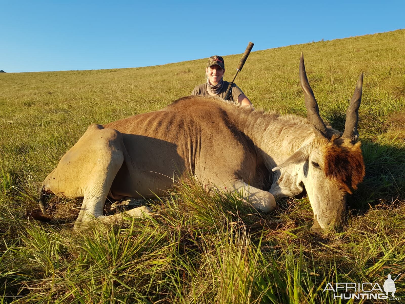 Eland Hunting South Africa