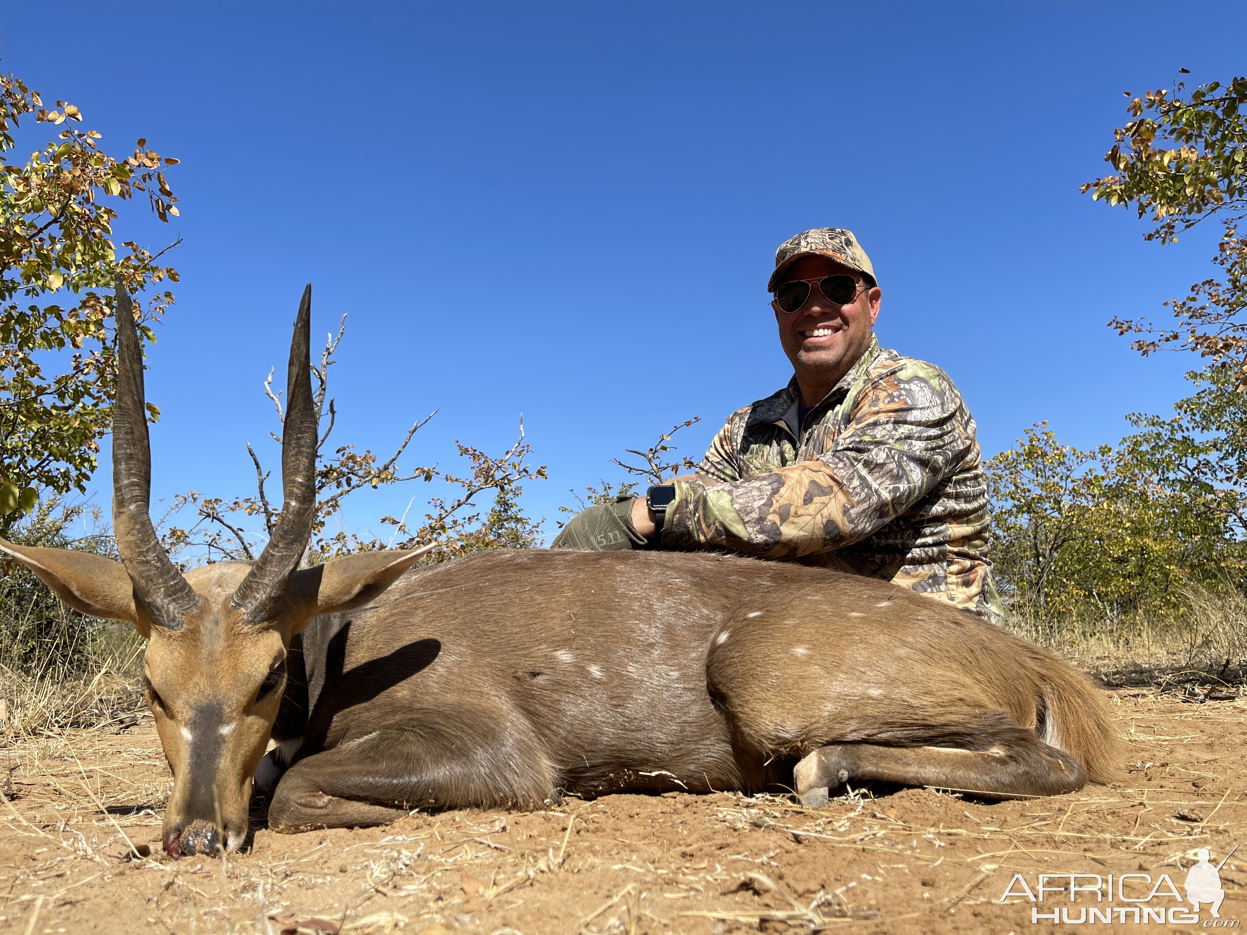 Eland Hunting South Africa