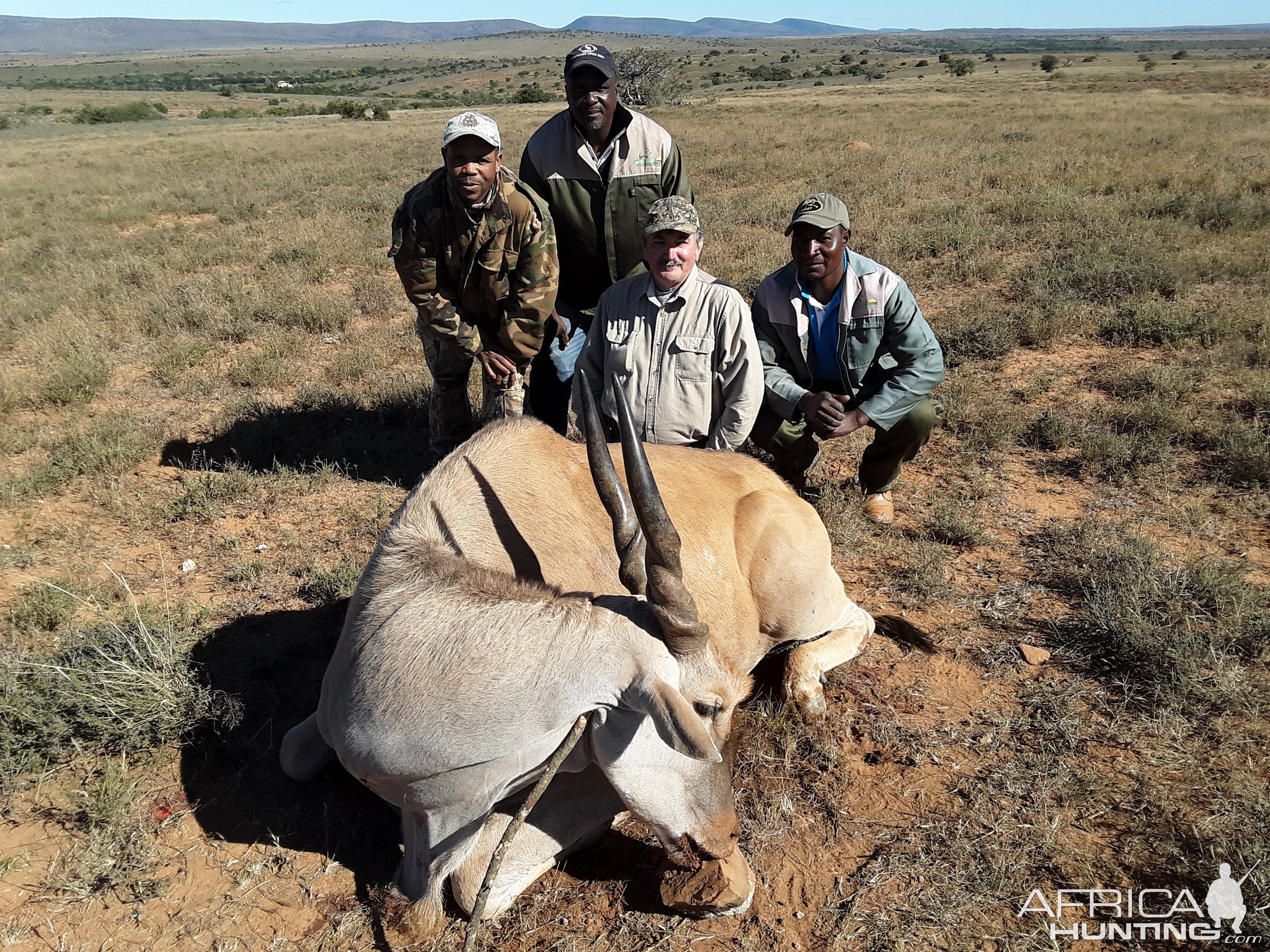 Eland Hunting South Africa