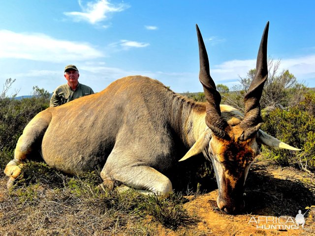 Eland Hunting South Africa