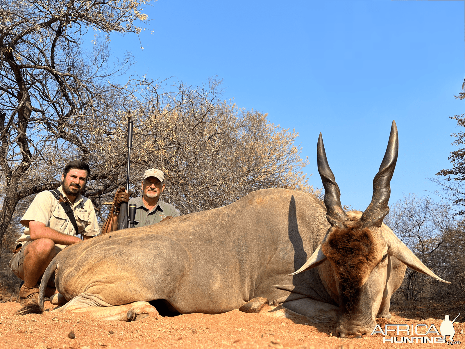 Eland Hunting South Africa