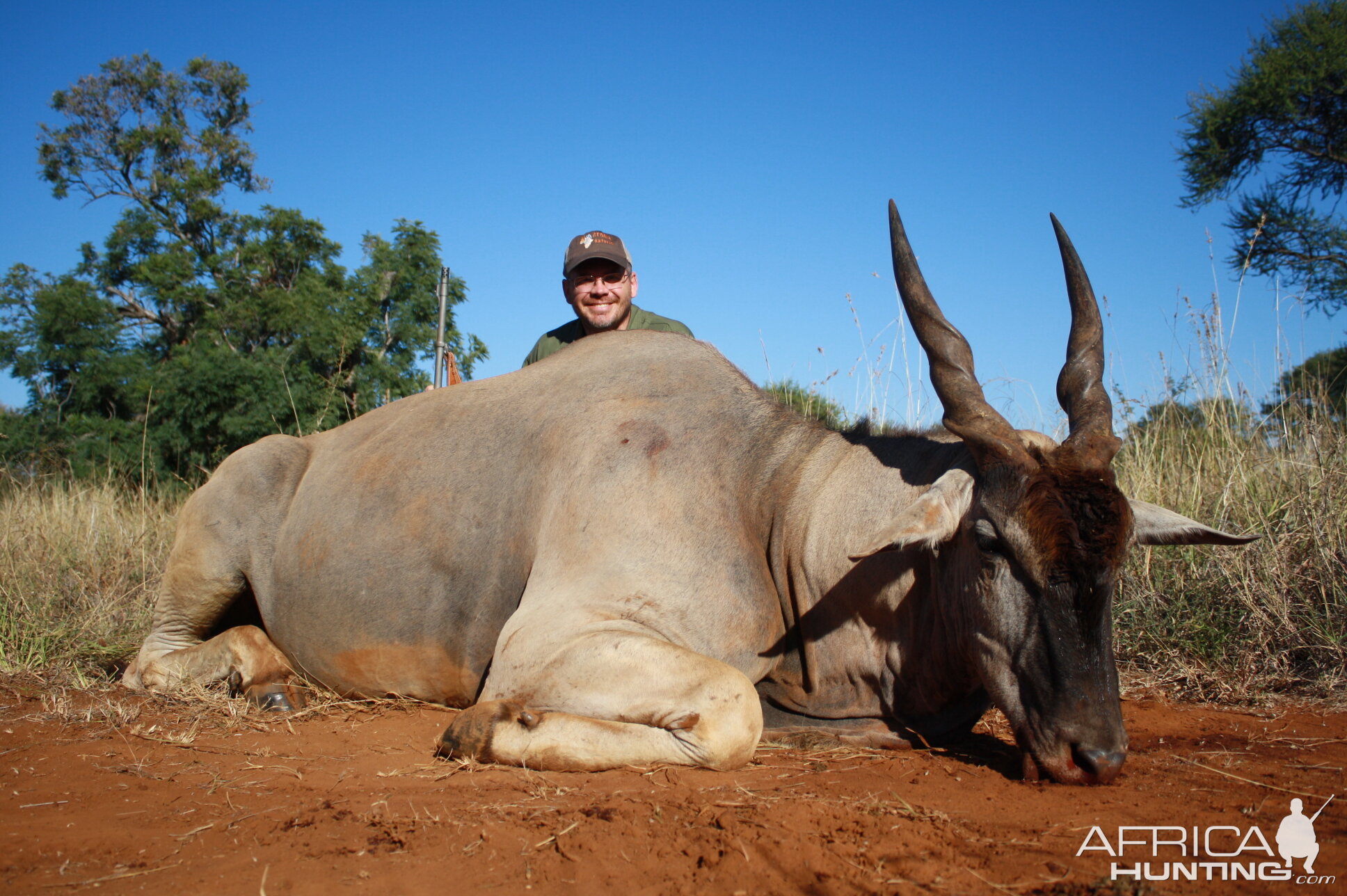 Eland Hunting South Africa