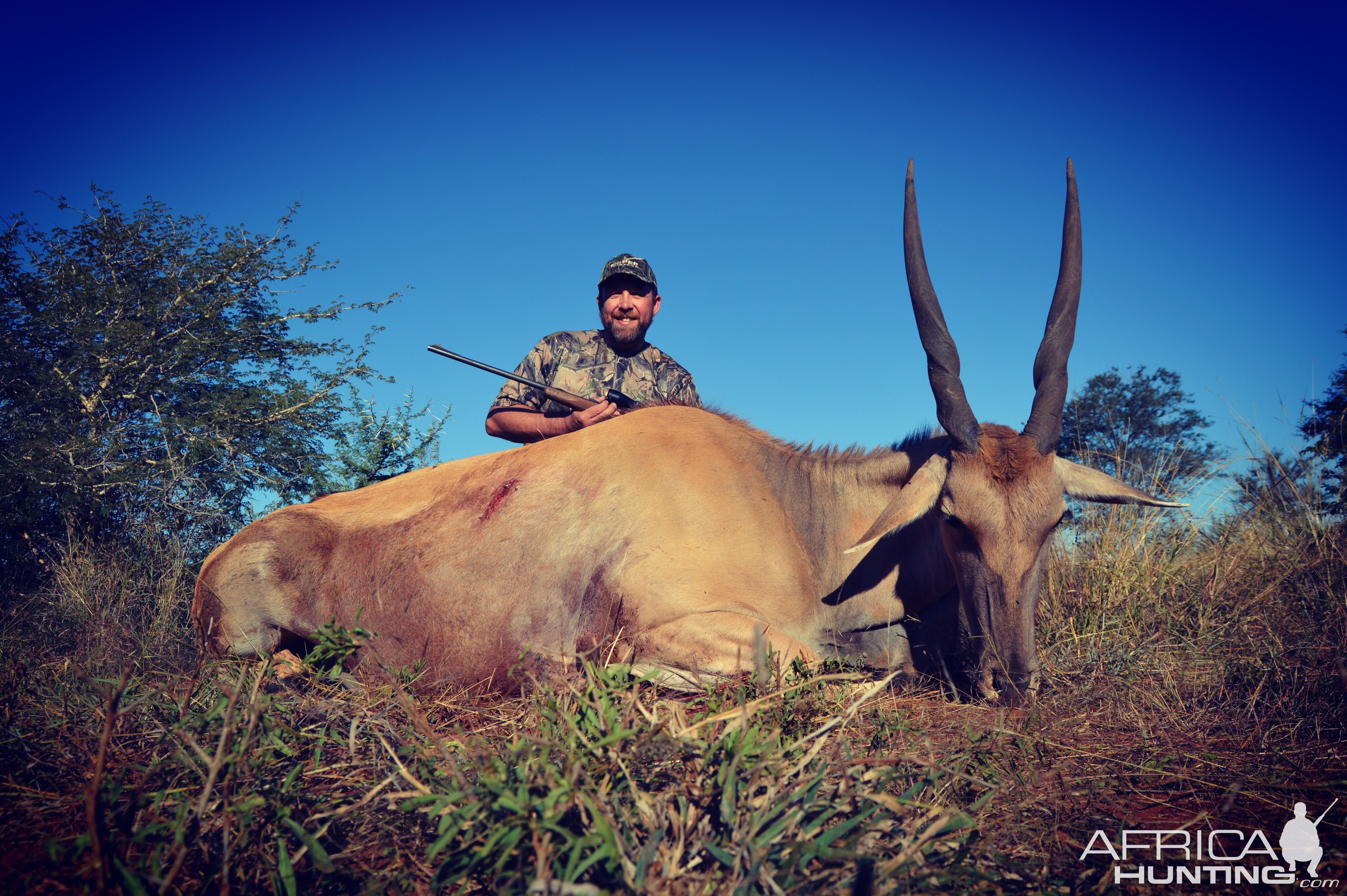 Eland Hunting South Africa