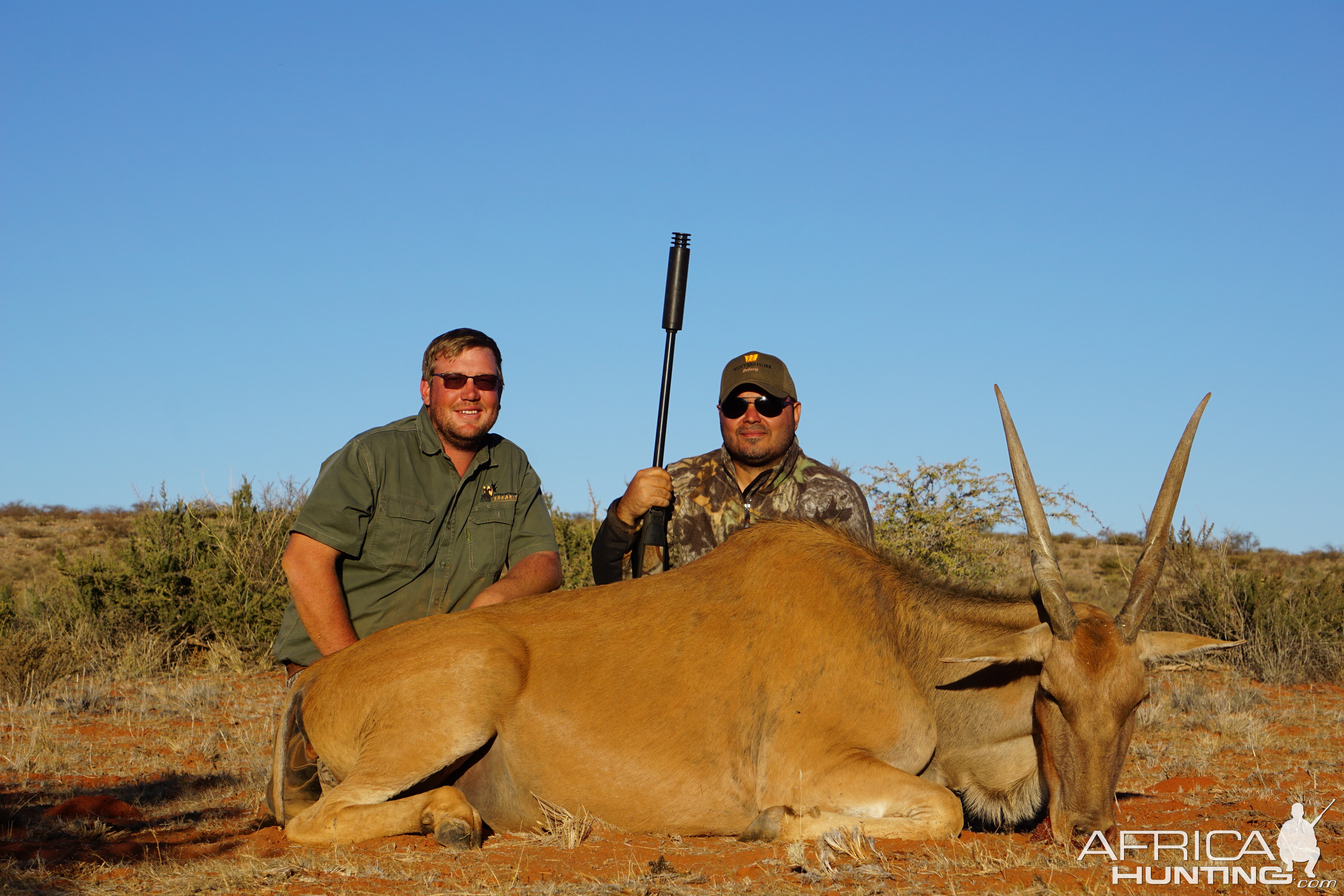 Eland Hunting South Africa