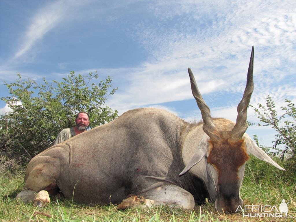 Eland Hunting South Africa