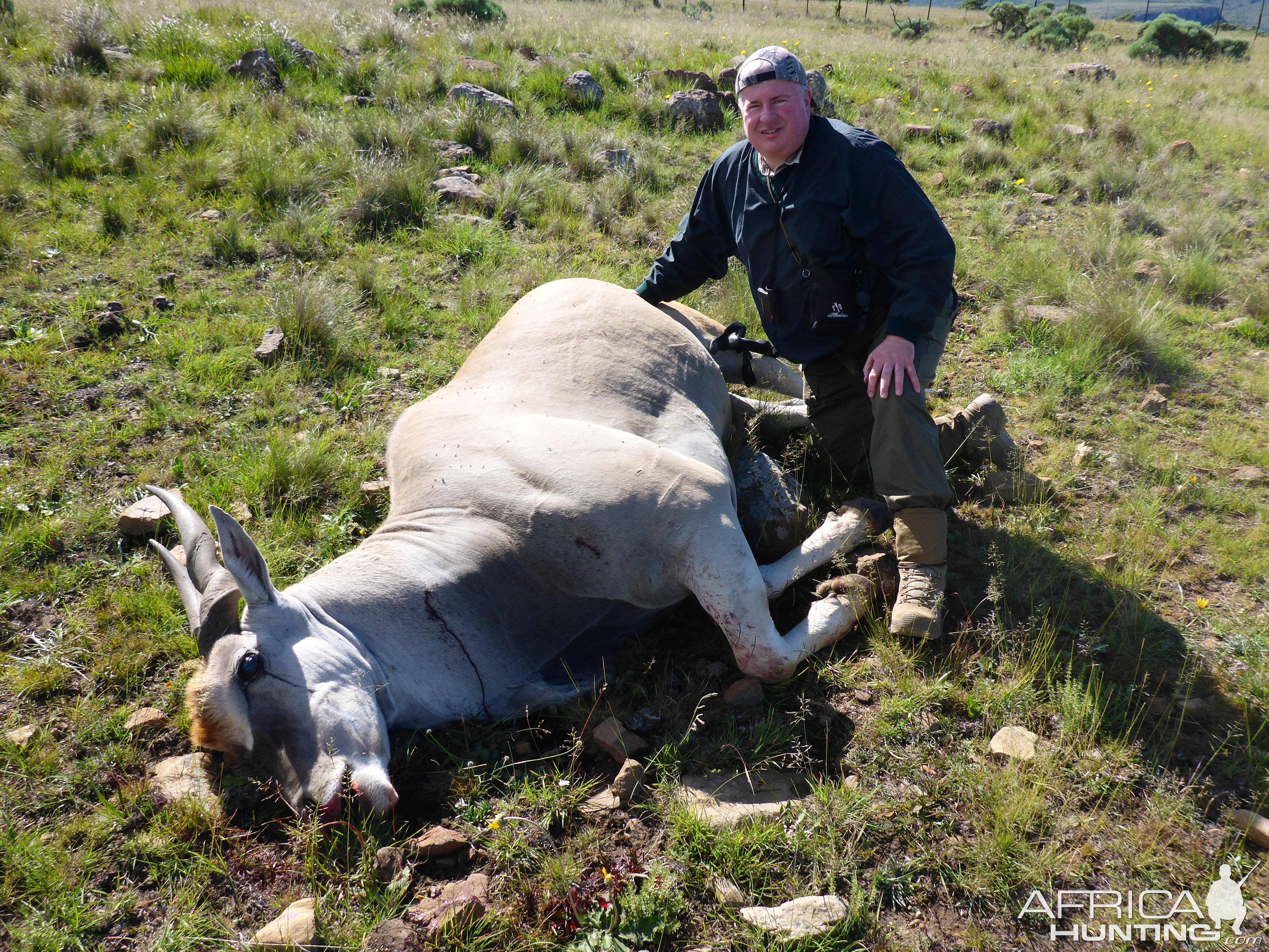 Eland Hunting South Africa