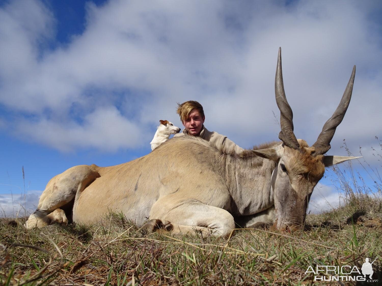 Eland Hunting South Africa