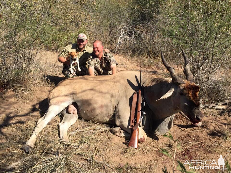 Eland Hunting South Africa