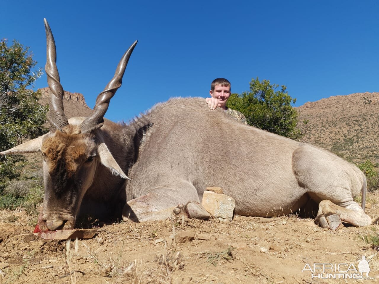 Eland Hunting South Africa