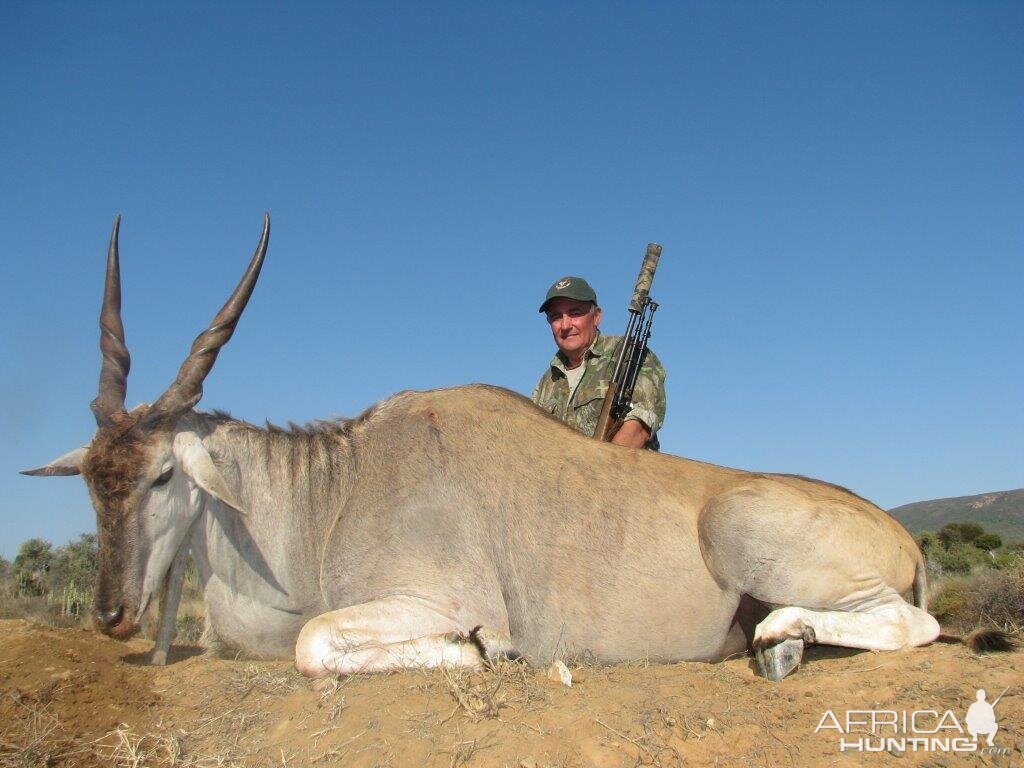 Eland Hunting South Africa