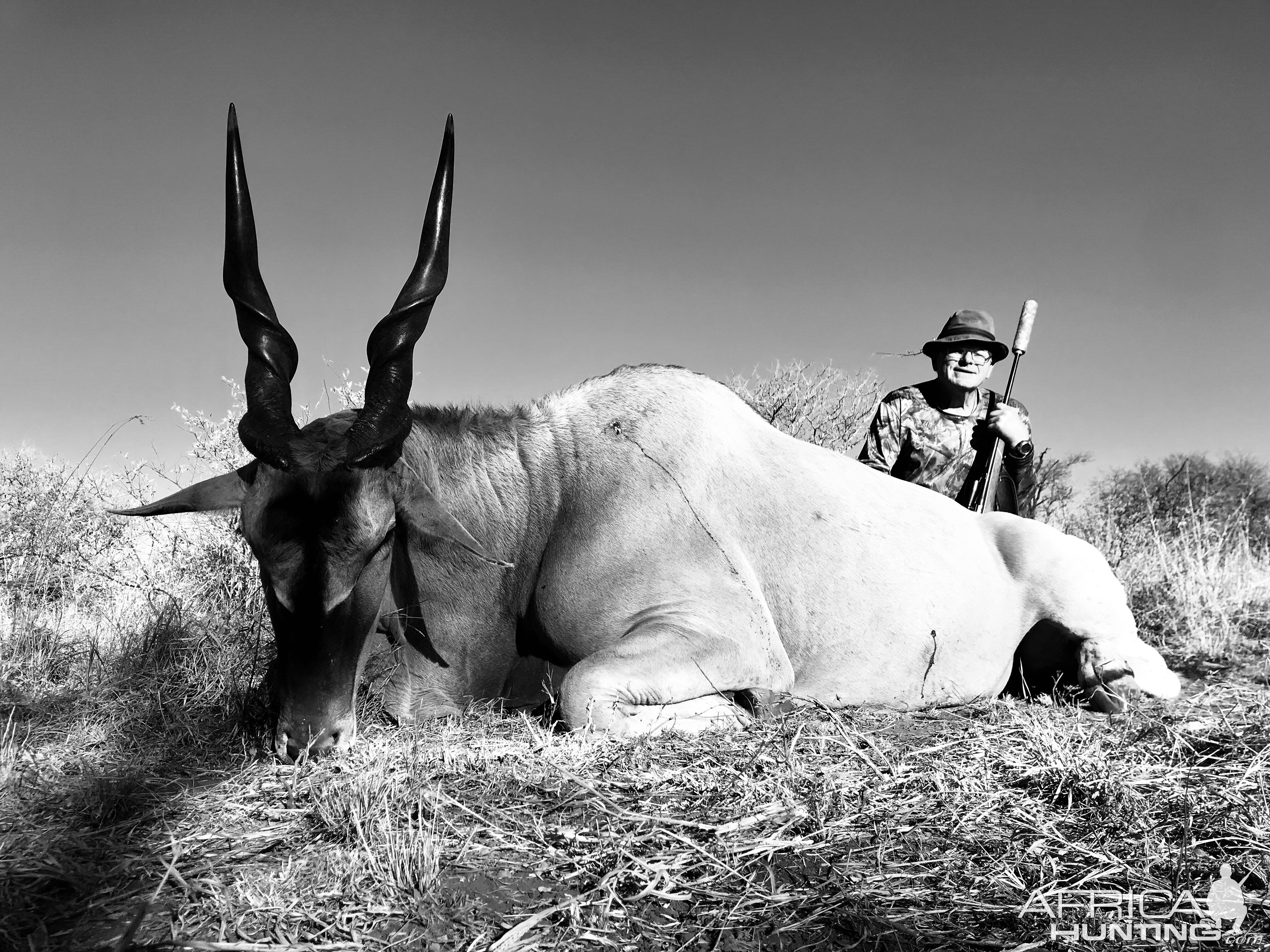 Eland Hunting South Africa