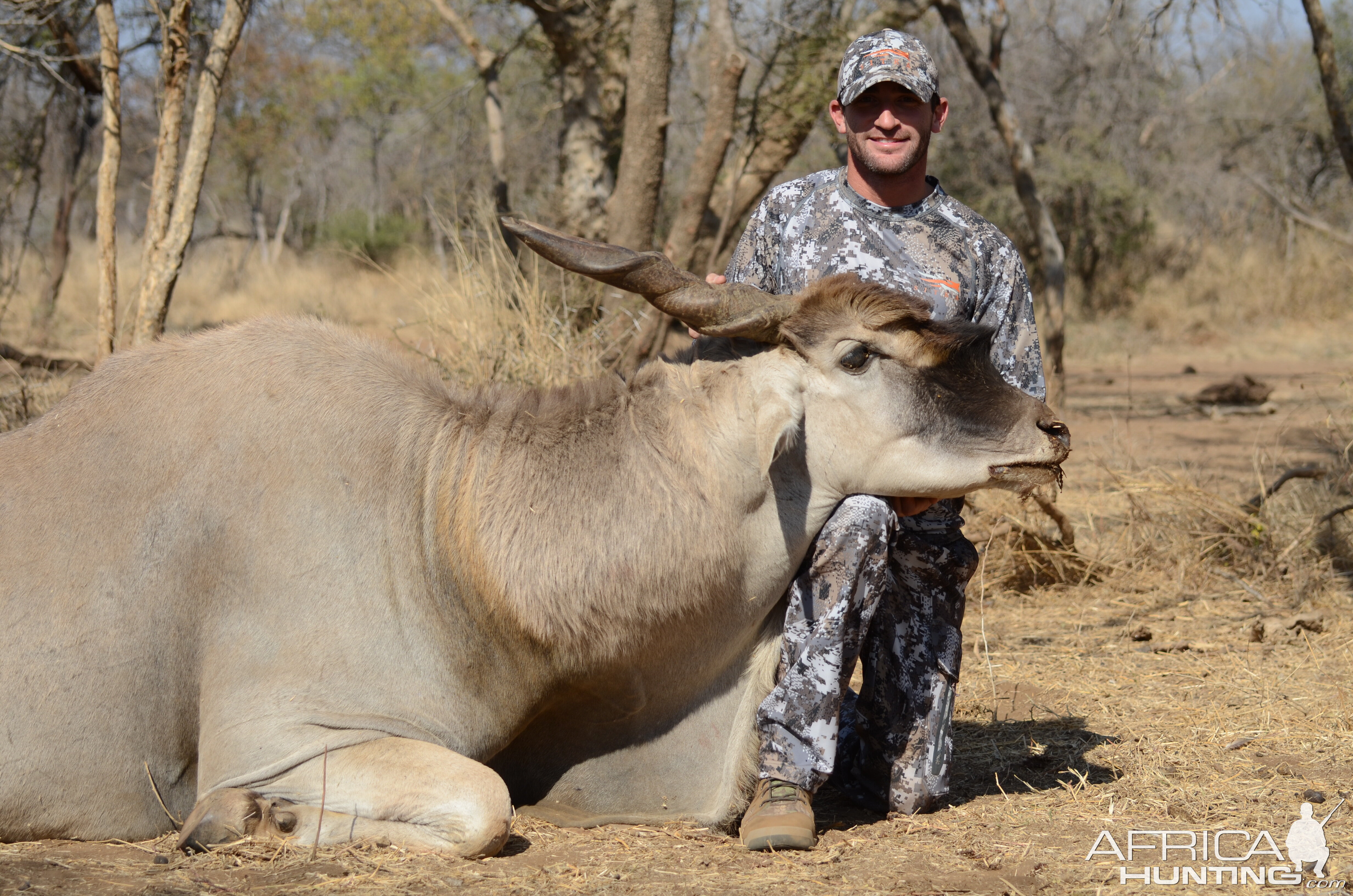 Eland Hunting South Africa