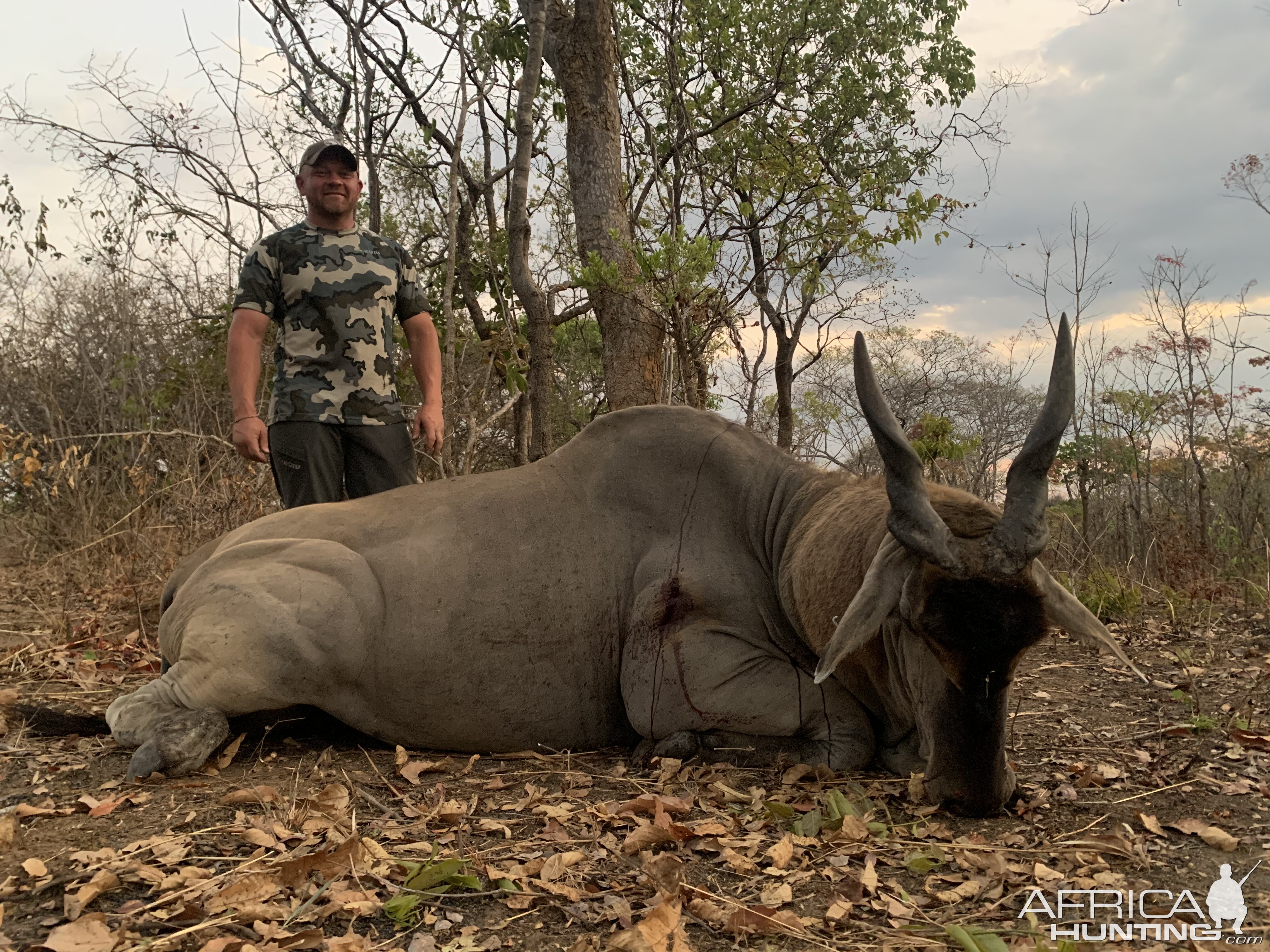 Eland Hunting Tanzania