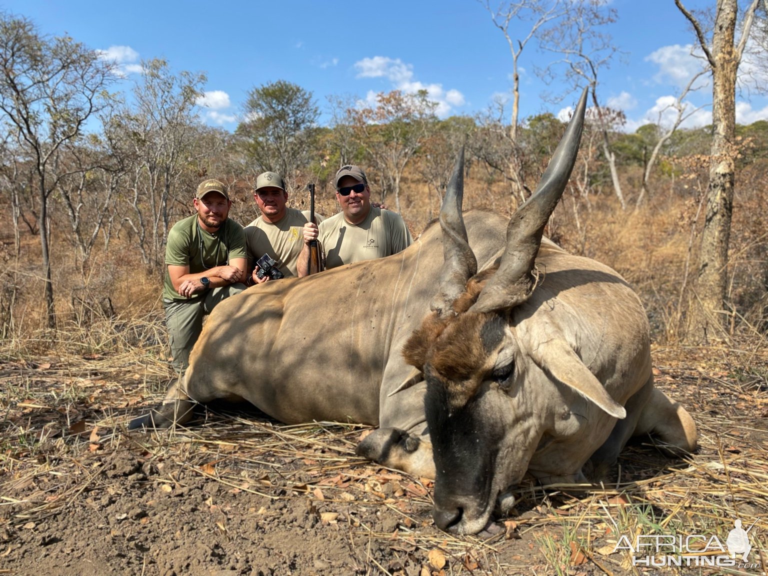 Eland Hunting Zimbabwe