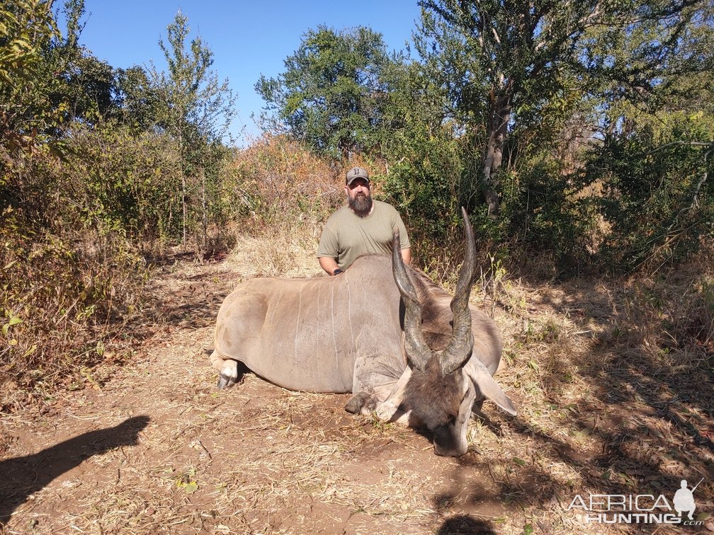 Eland Hunting Zimbabwe