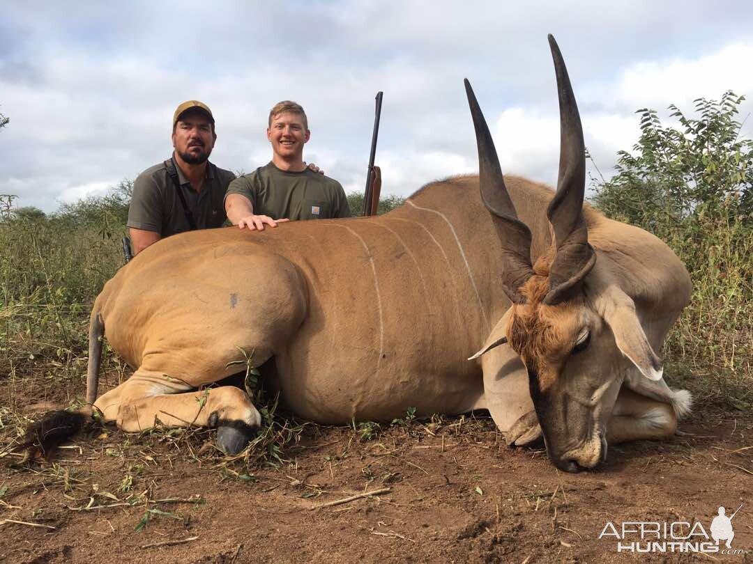 Eland Hunting Zimbabwe