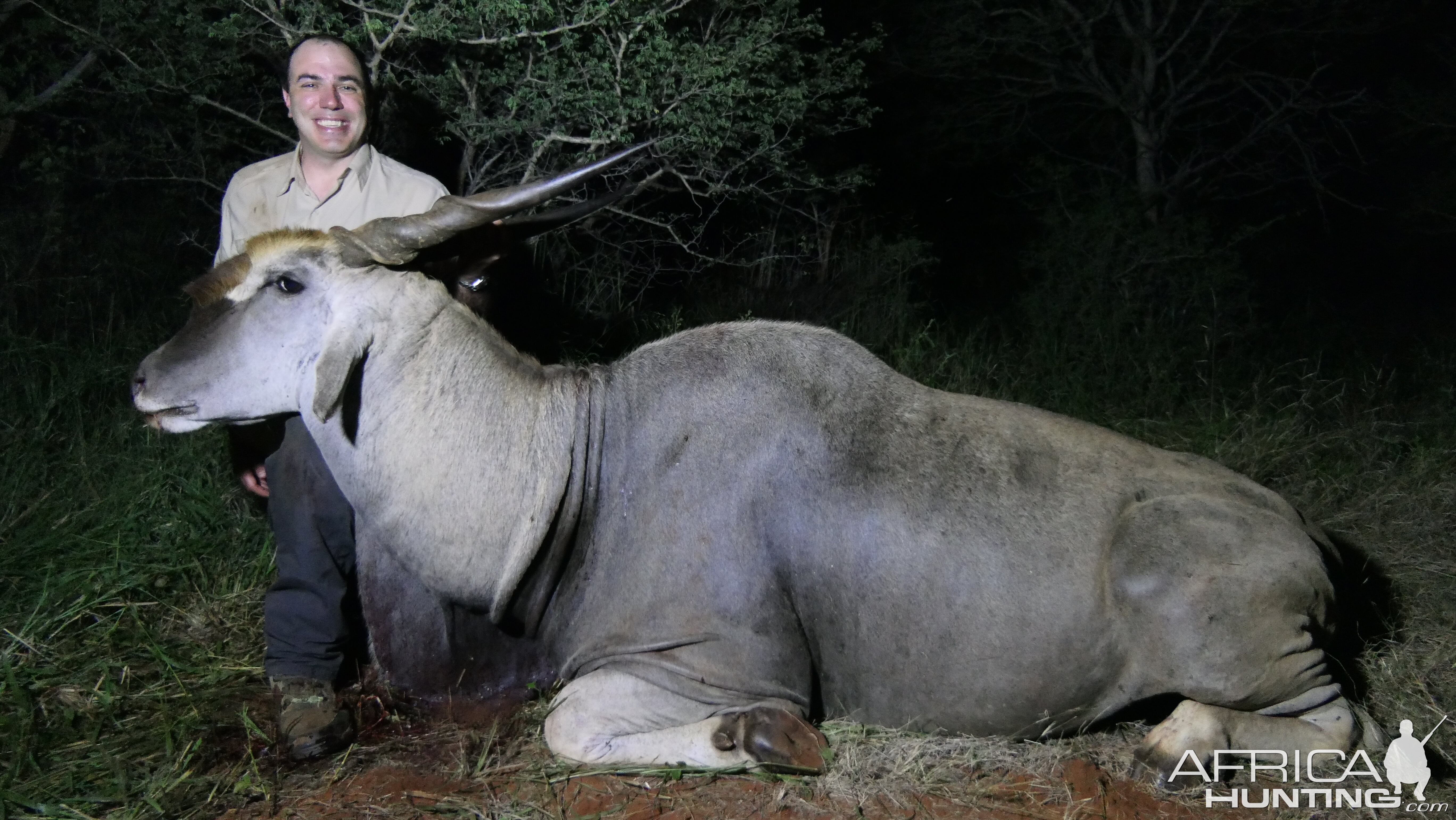 Eland Hunting