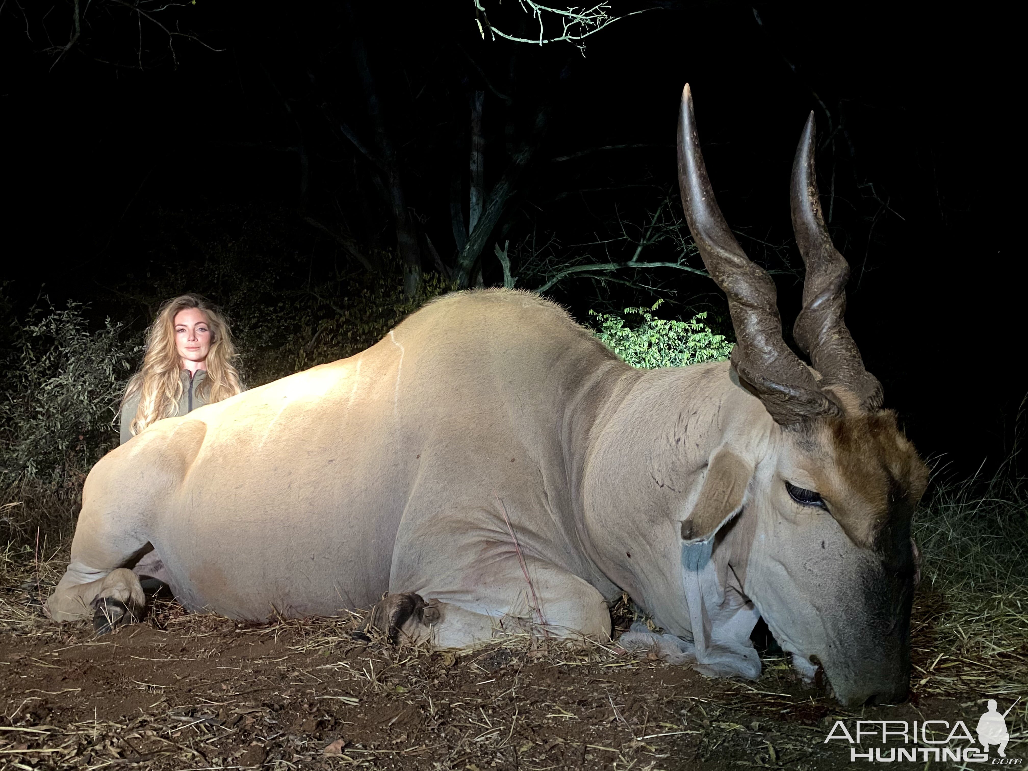 Eland Hunting