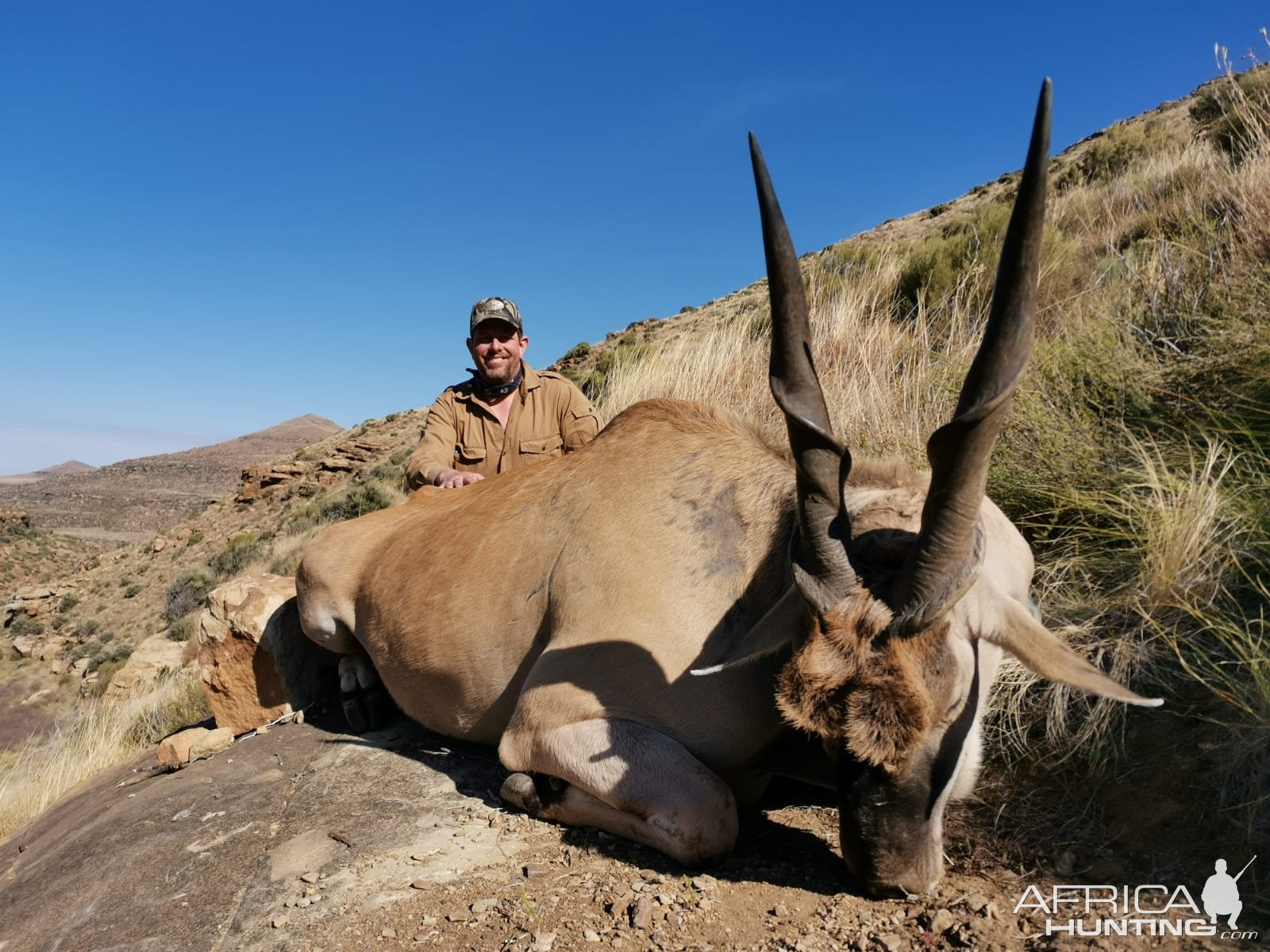 Eland Hunting