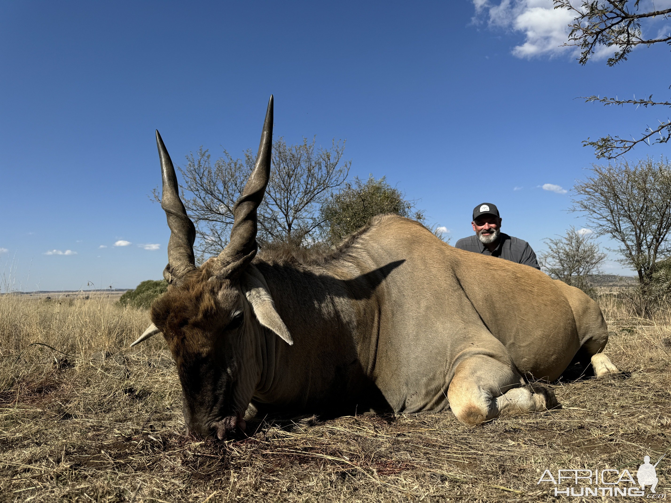 Eland Hunting