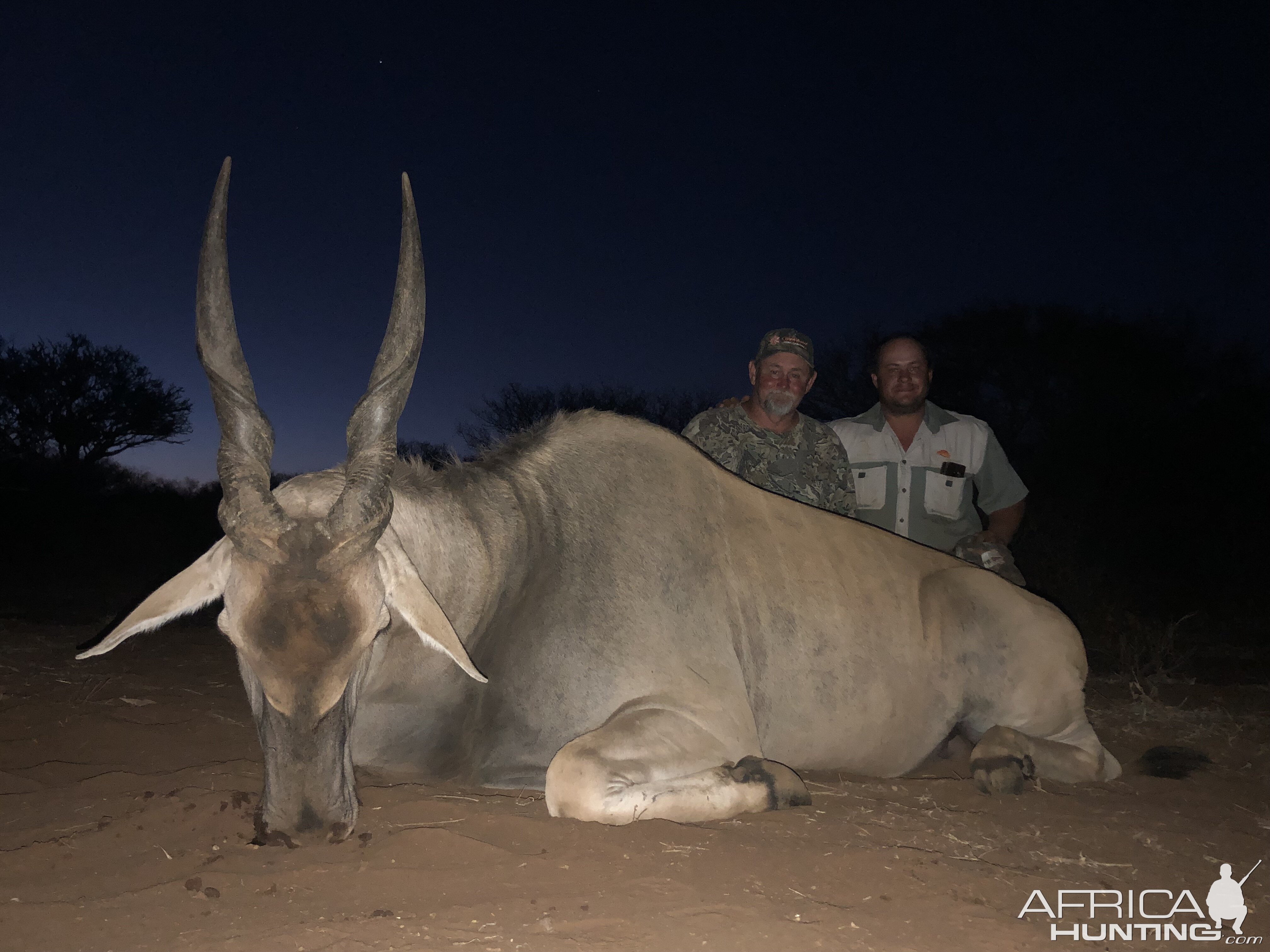 Eland Hunting