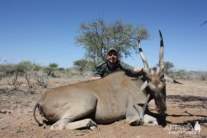 Eland - Namibia