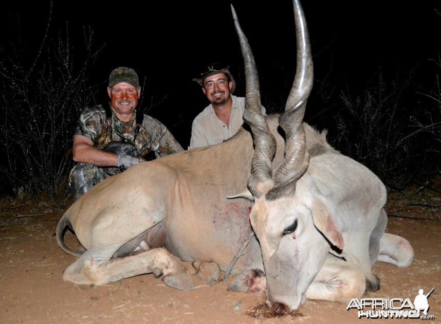 Eland - Namibia