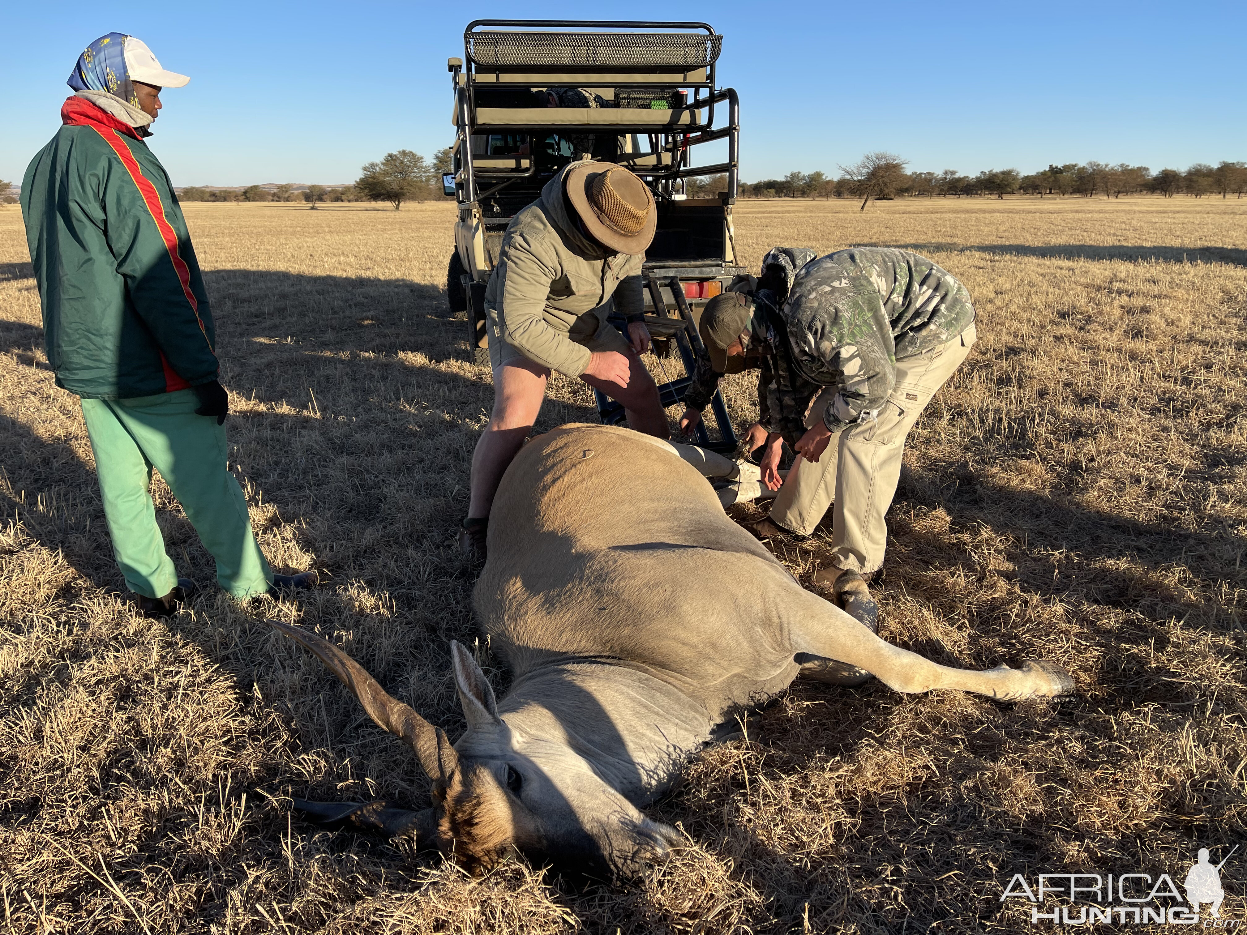 Eland Recovery South Africa