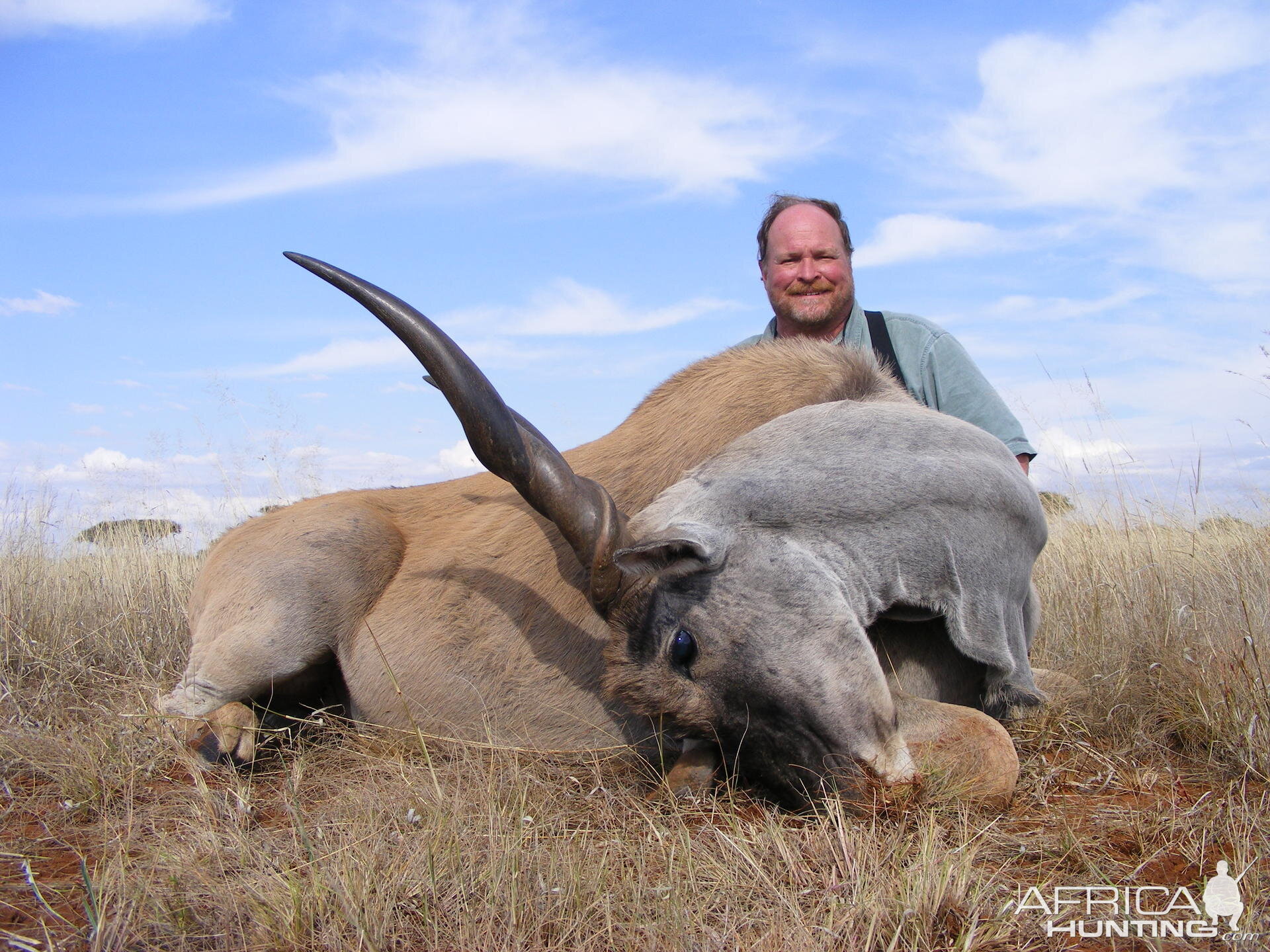 Eland South Africa